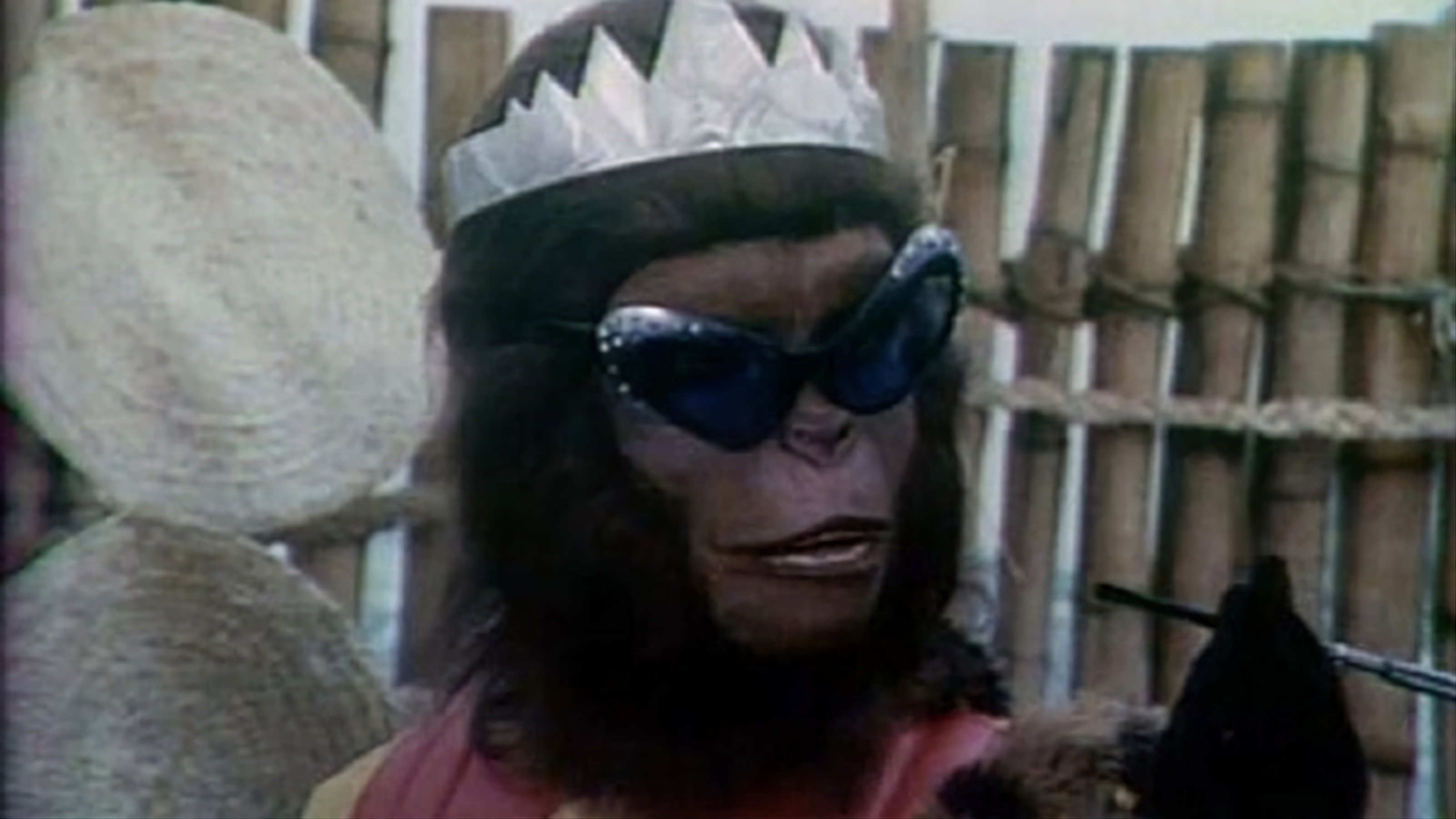 Brazilian Planet of the Apes Background