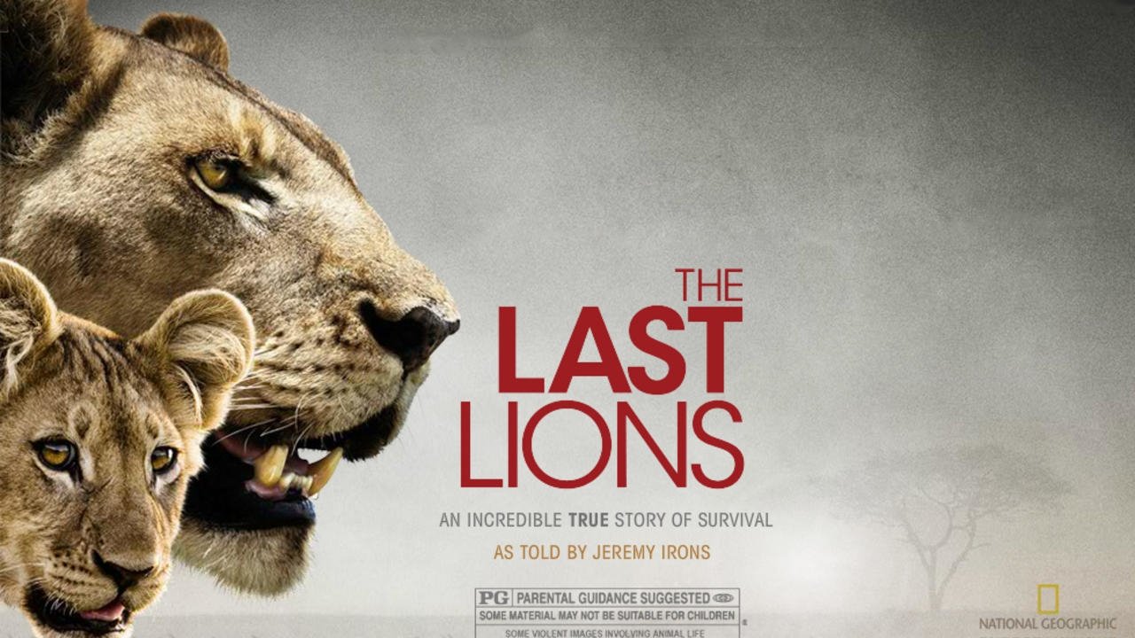 The Last Lions Background