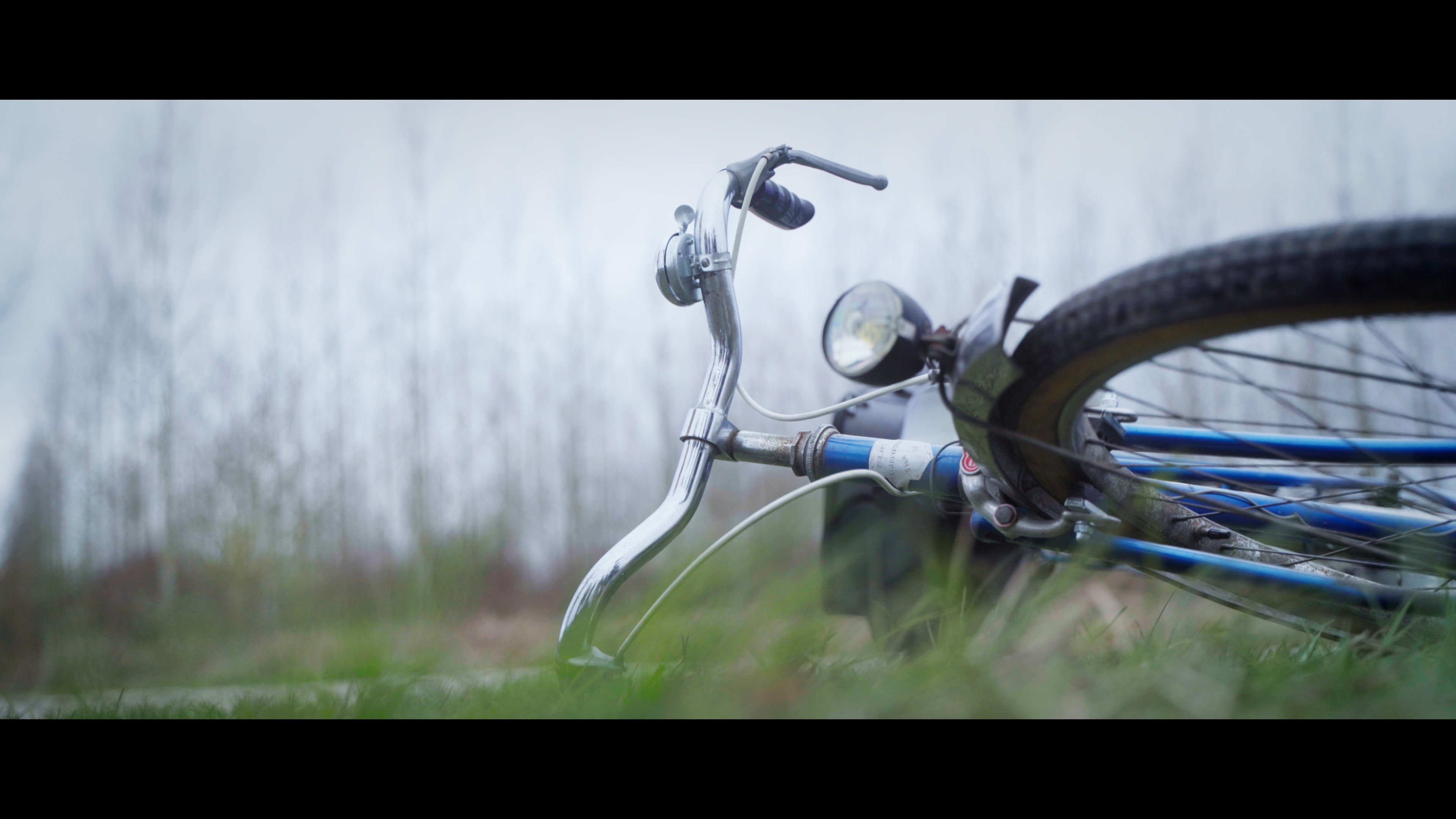 Au Fil des Mots Background