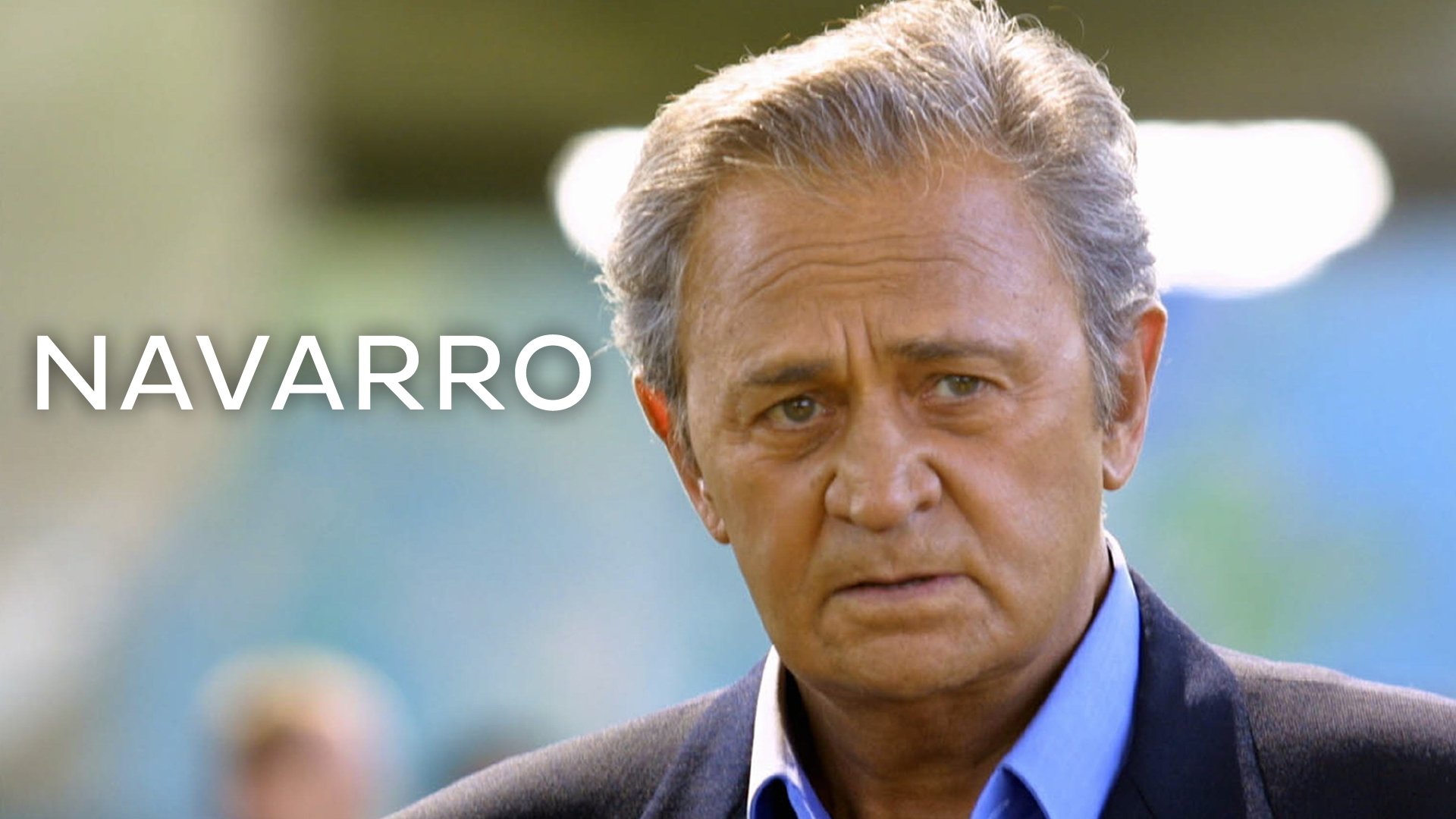 Navarro Background