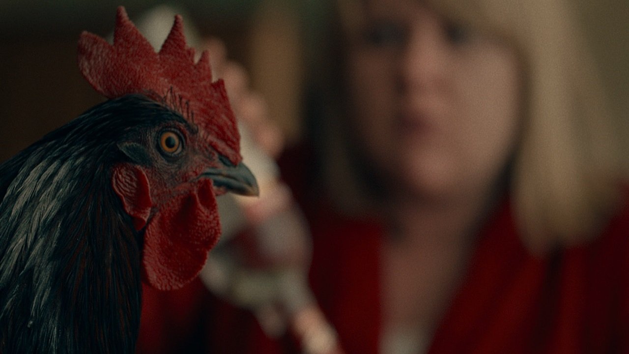 The Rooster Background