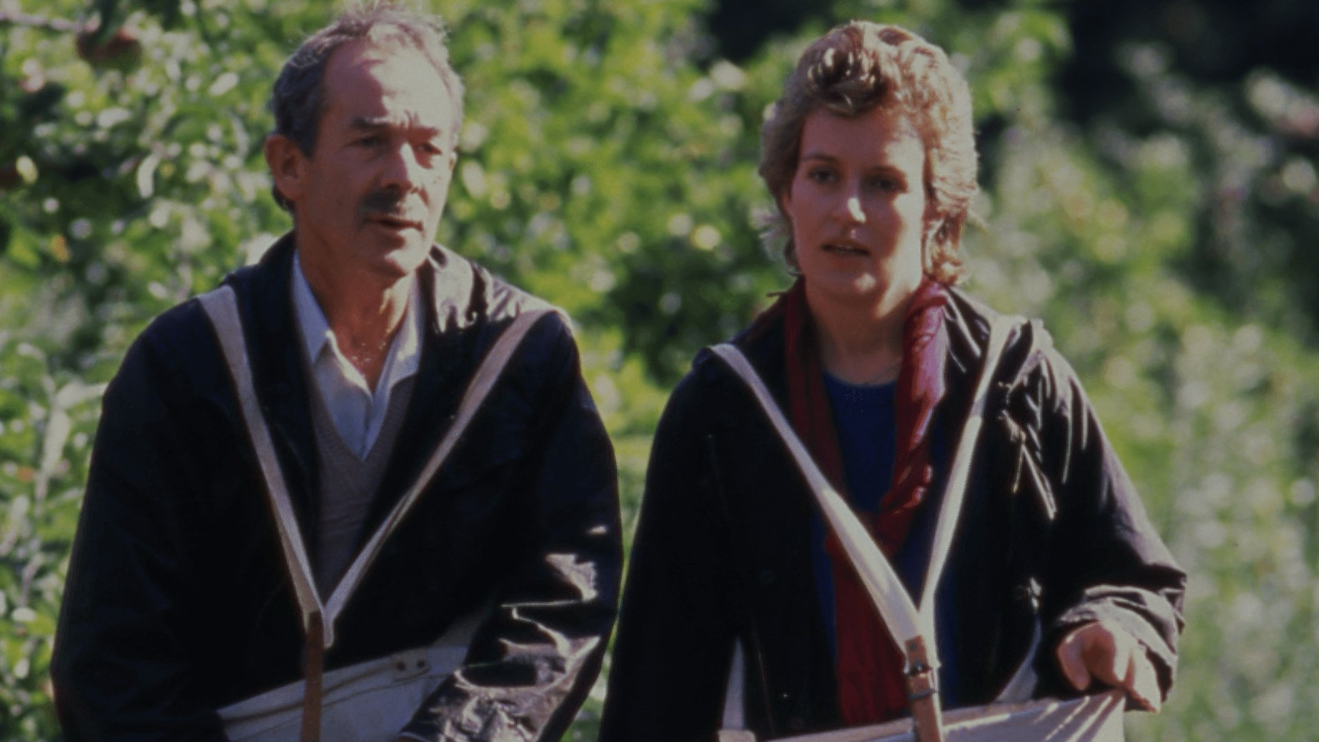 Grim Pickings Background