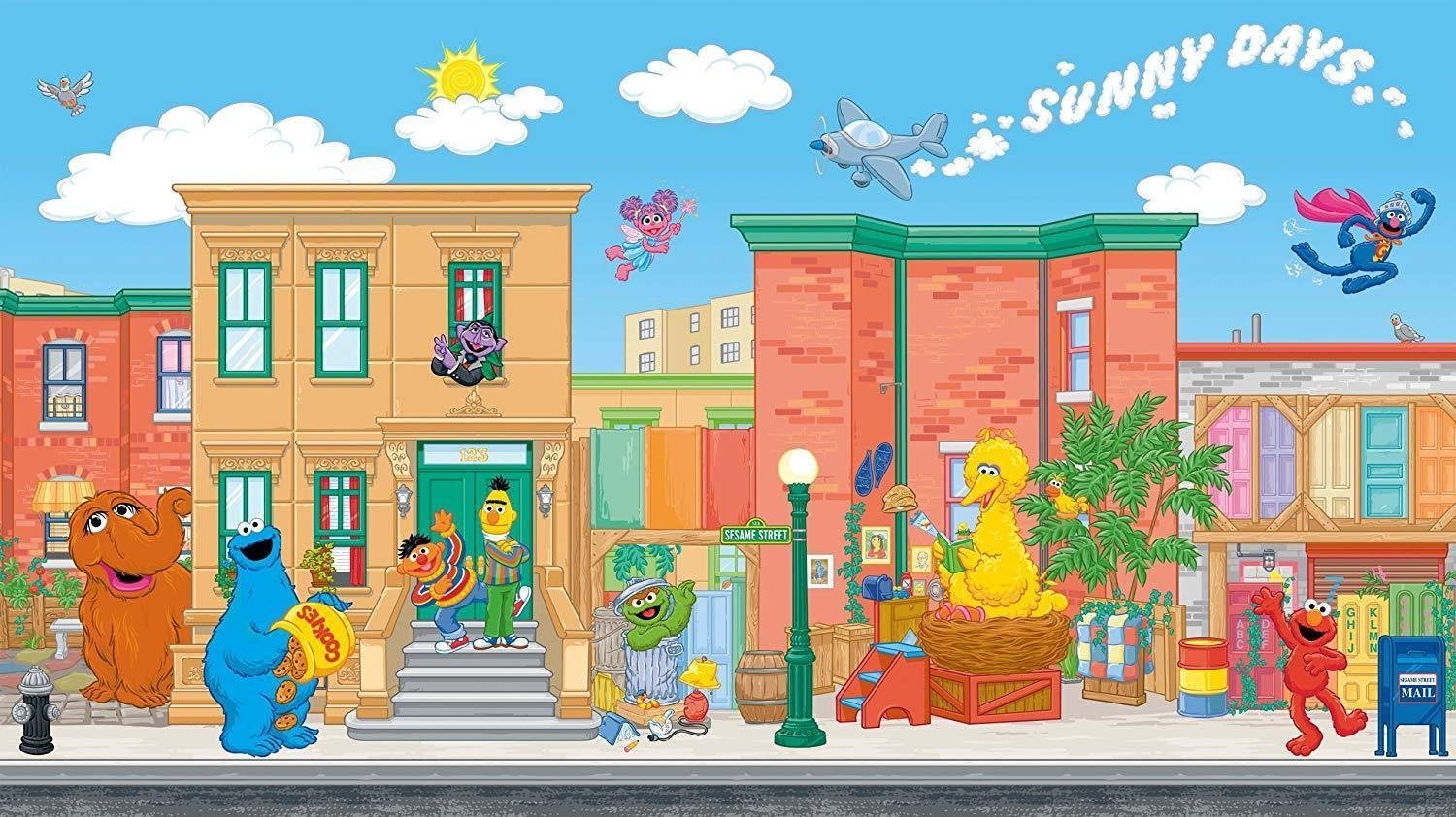 Sesame Street: 20 Years ... and Still Counting! Background