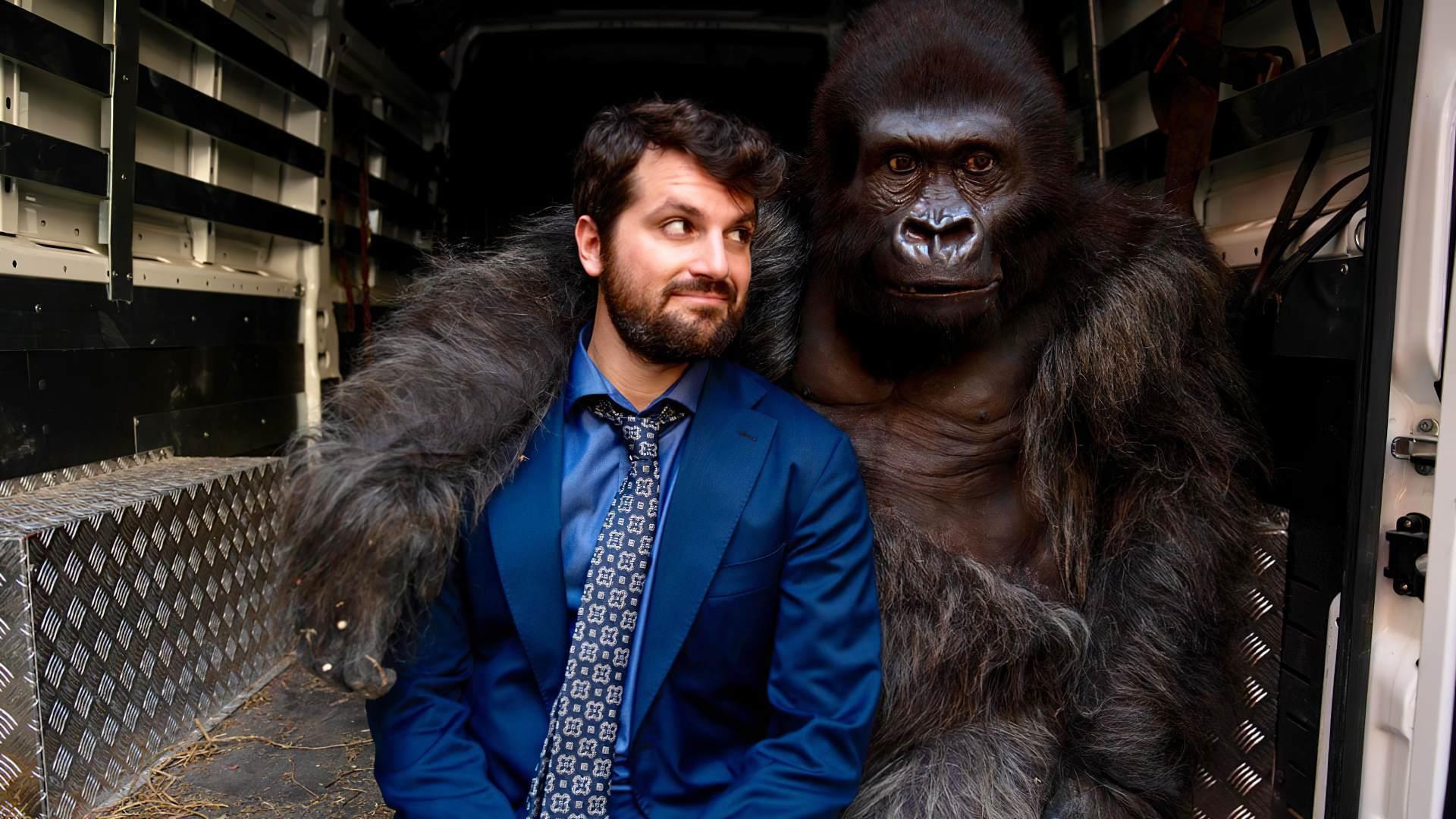 Beware the Gorilla Background