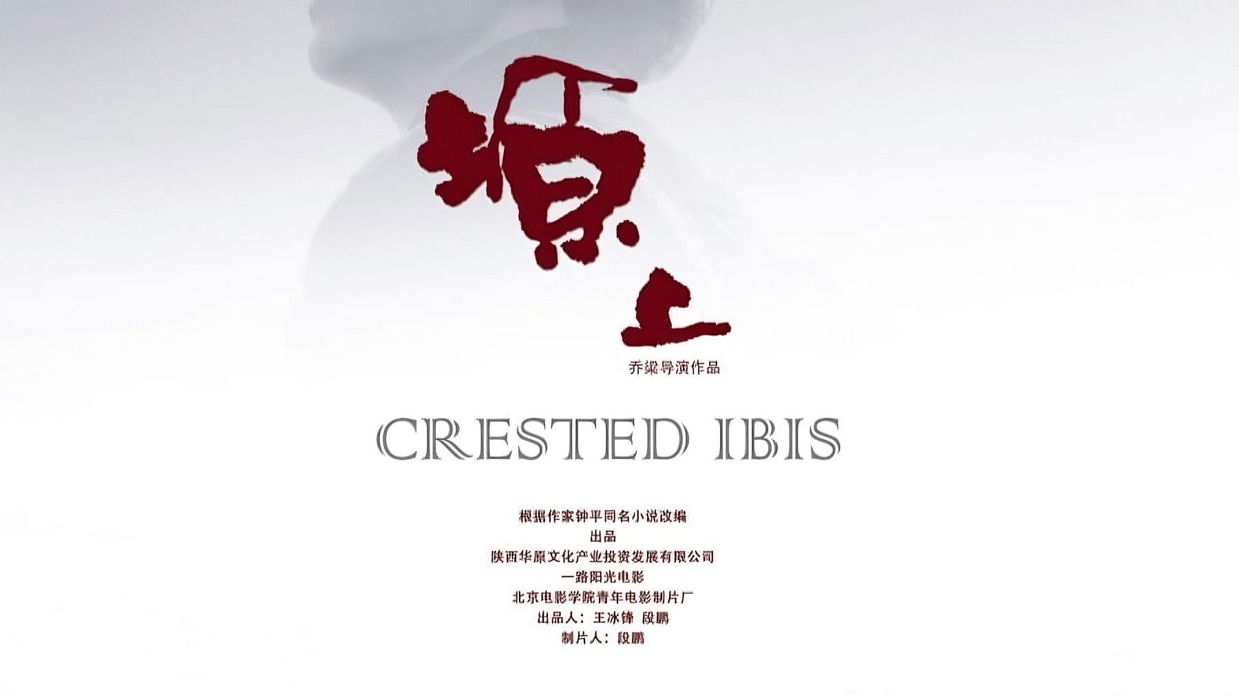 Crested Ibis Background