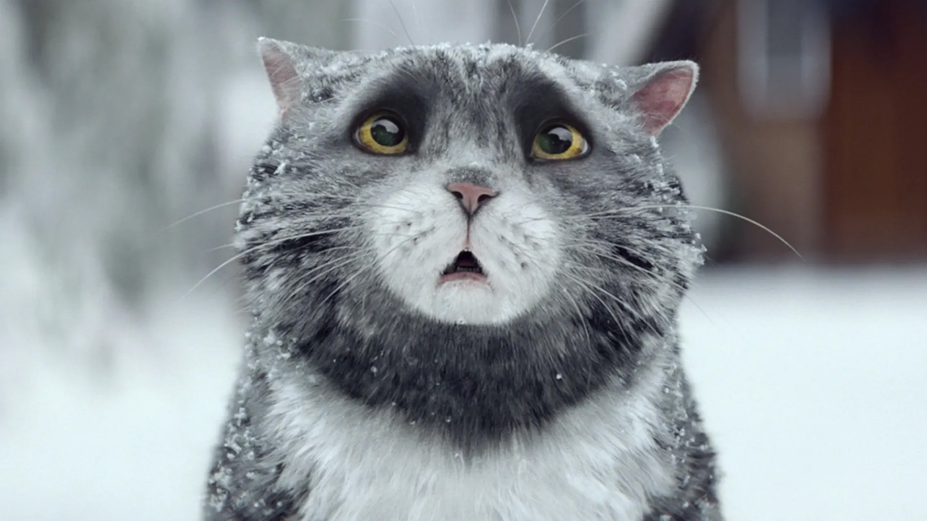 Sainsbury's: Mog's Christmas Calamity Background