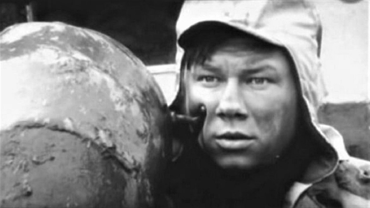 Meldru mežs Background