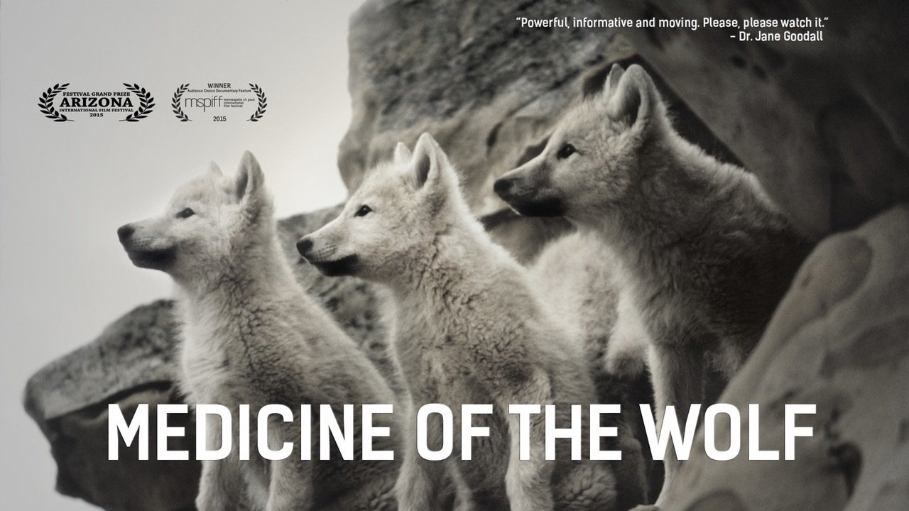Medicine of the Wolf Background