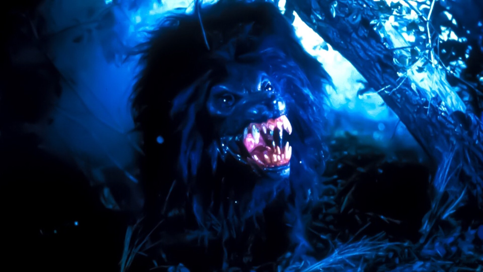 Howling IV: The Original Nightmare Background