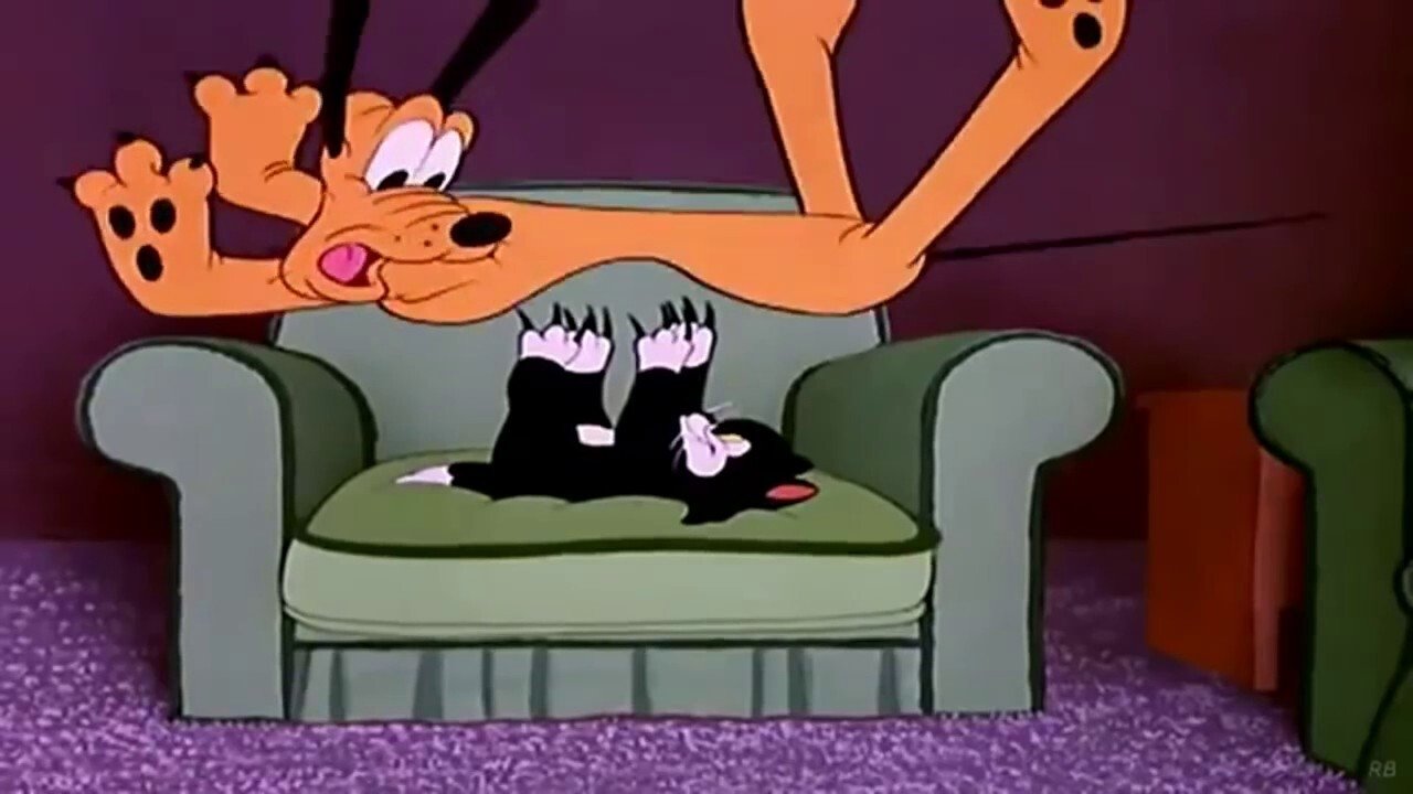 Cat Nap Pluto Background