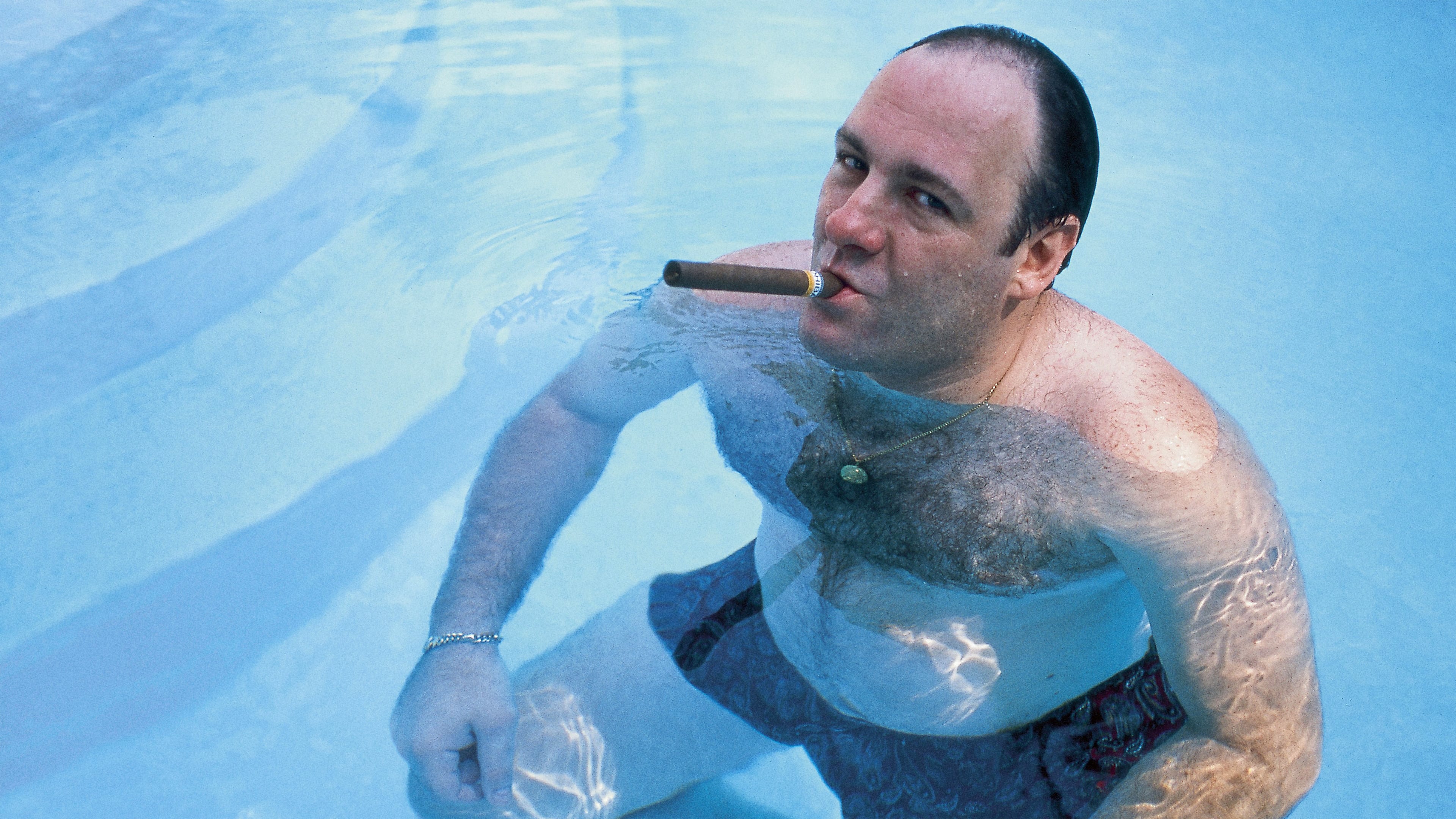 Wise Guy: David Chase and The Sopranos Background