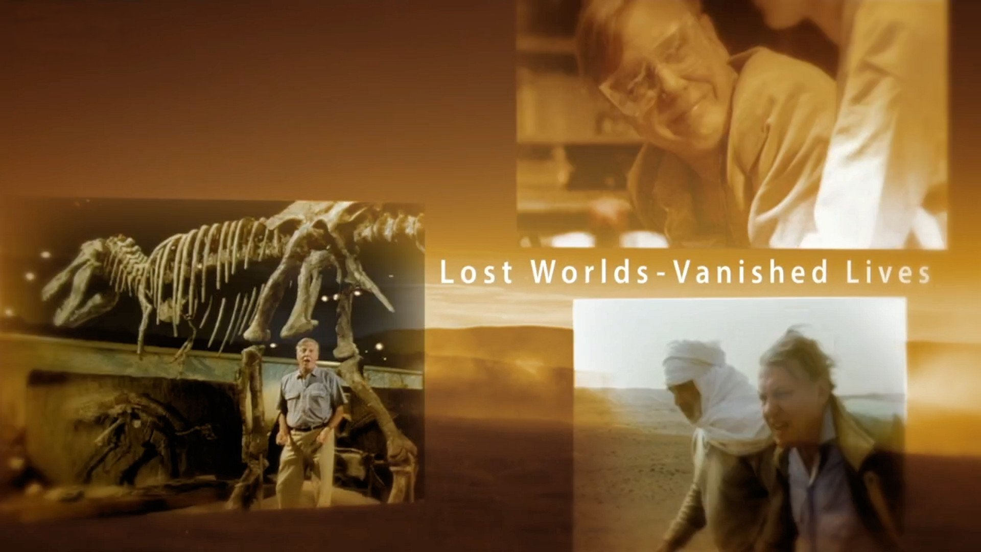 Attenborough's Passion Projects Background