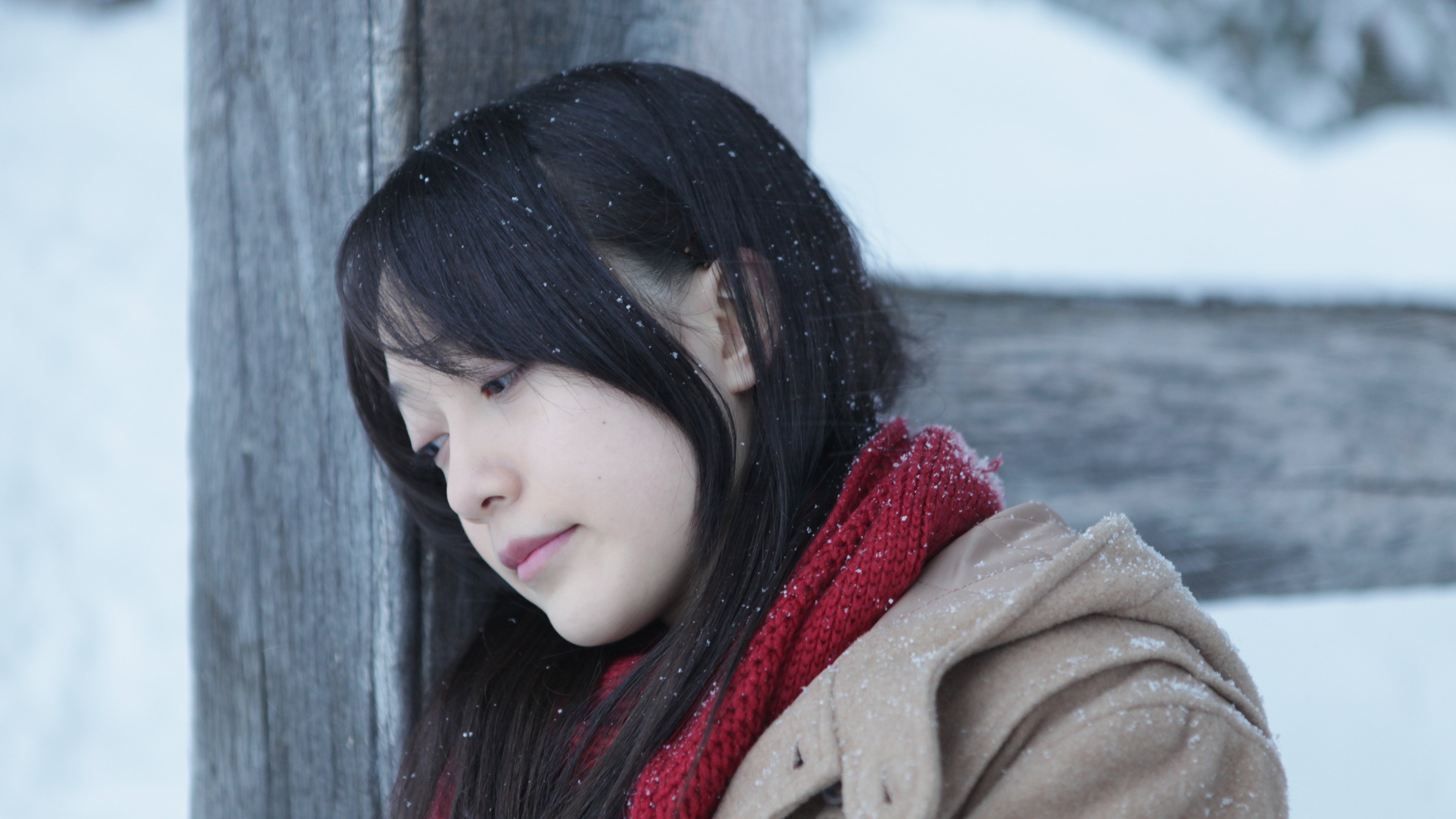 Last Fragments of Winter Background