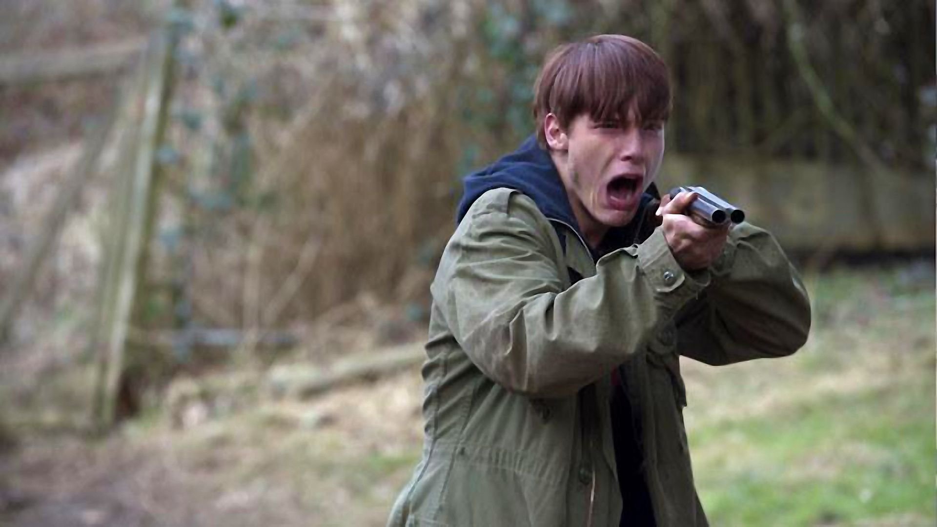 Black Fly Background