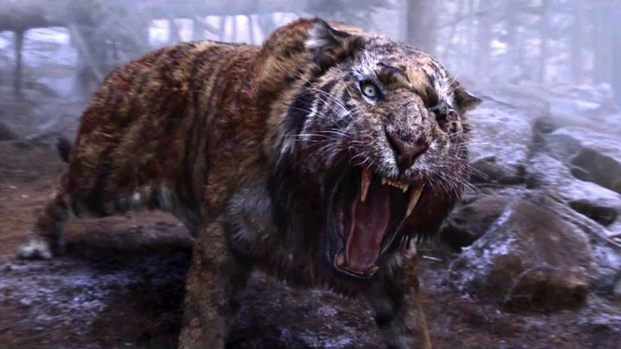 The Tiger Background