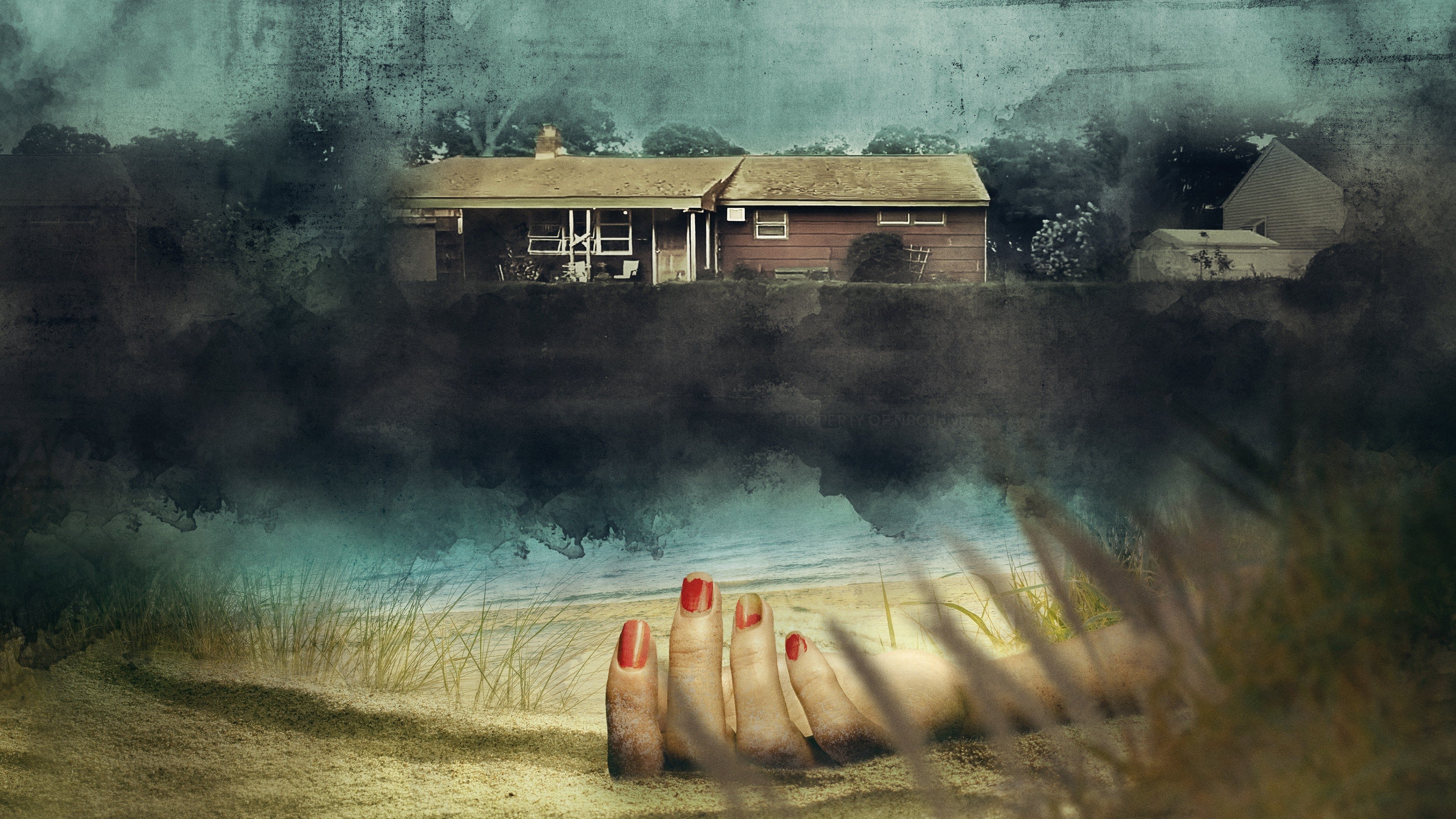 The Gilgo Beach Killer: House of Secrets Background