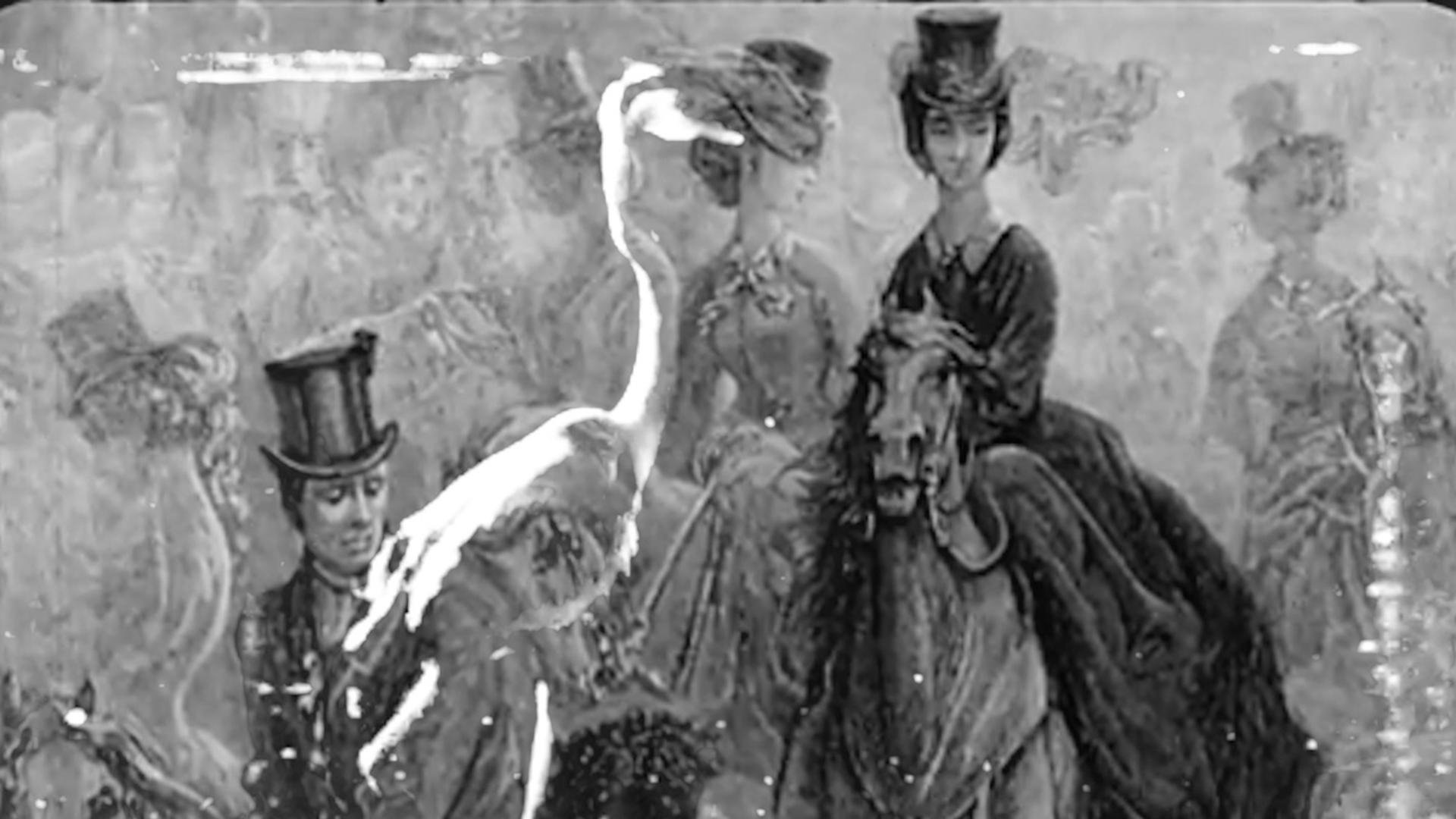 Some Thoughts On The Common Toad Background