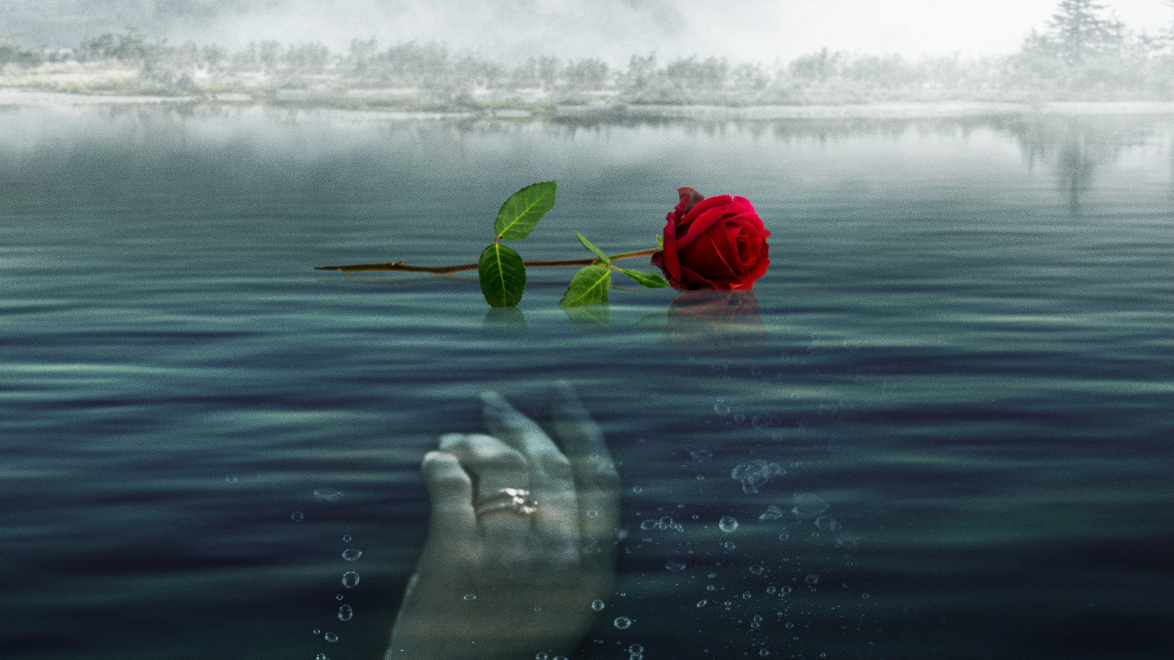 A Rose for Her Grave: The Randy Roth Story Background