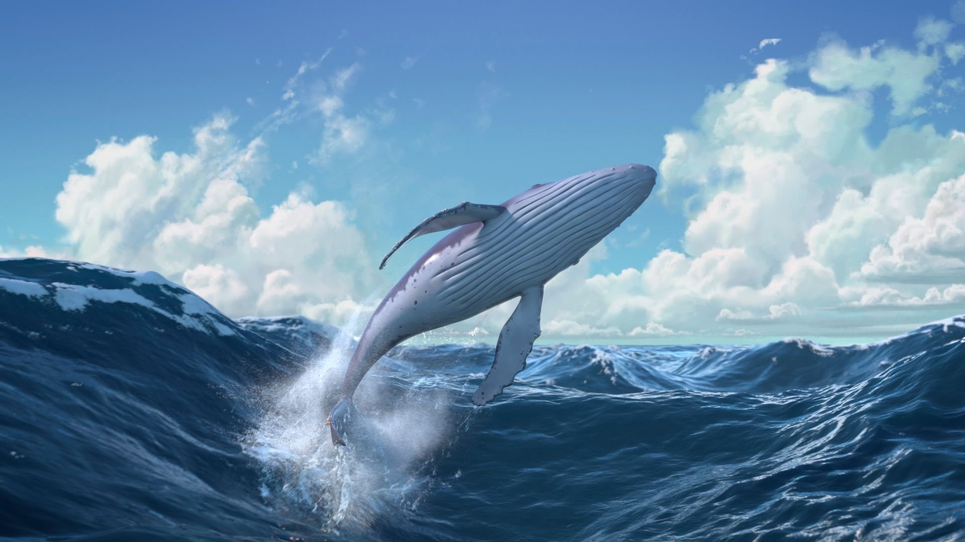 The Snail and the Whale Background