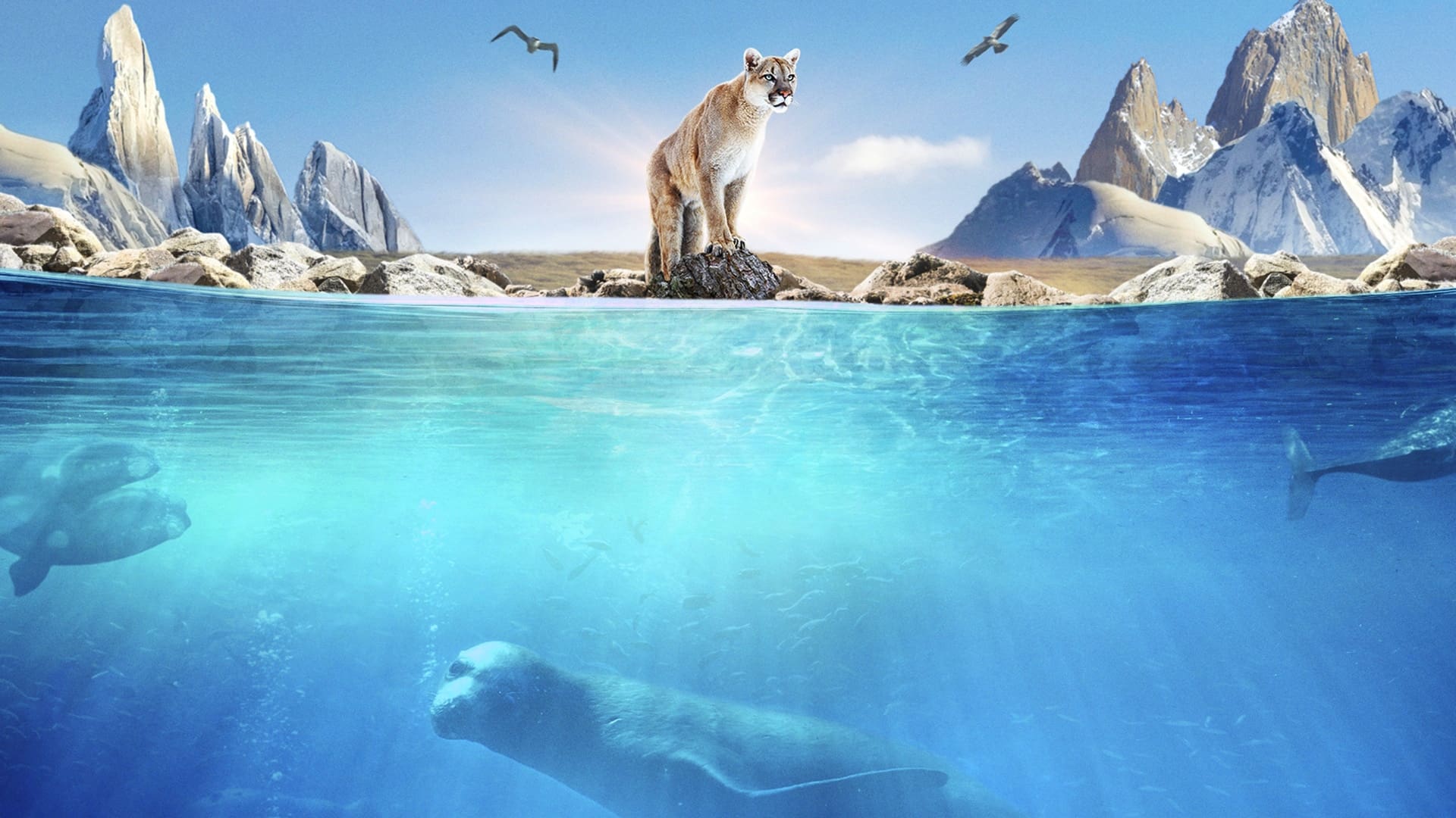 Patagonia: Life on the Edge of the World Background