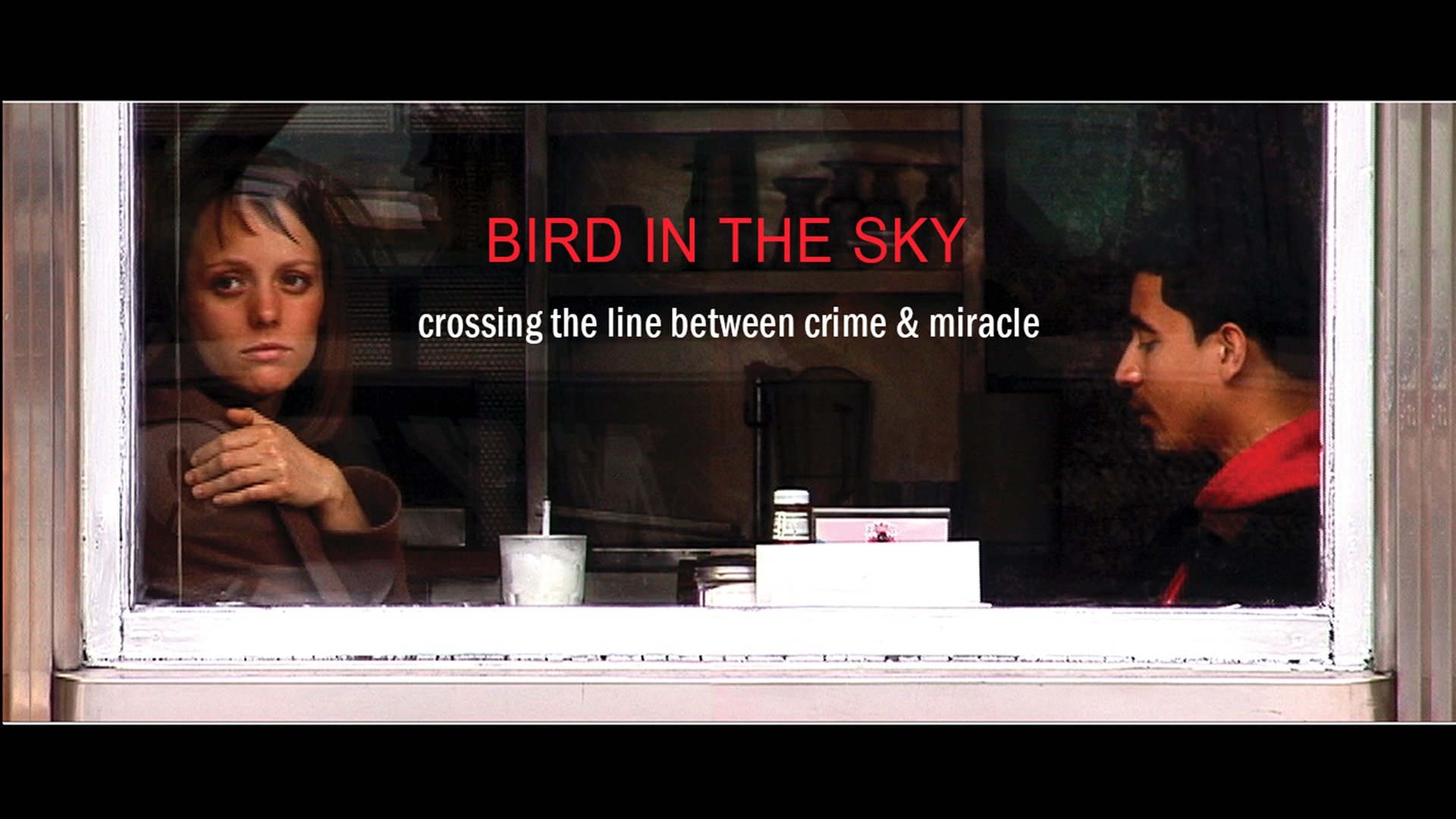 BIRD IN THE SKY Background