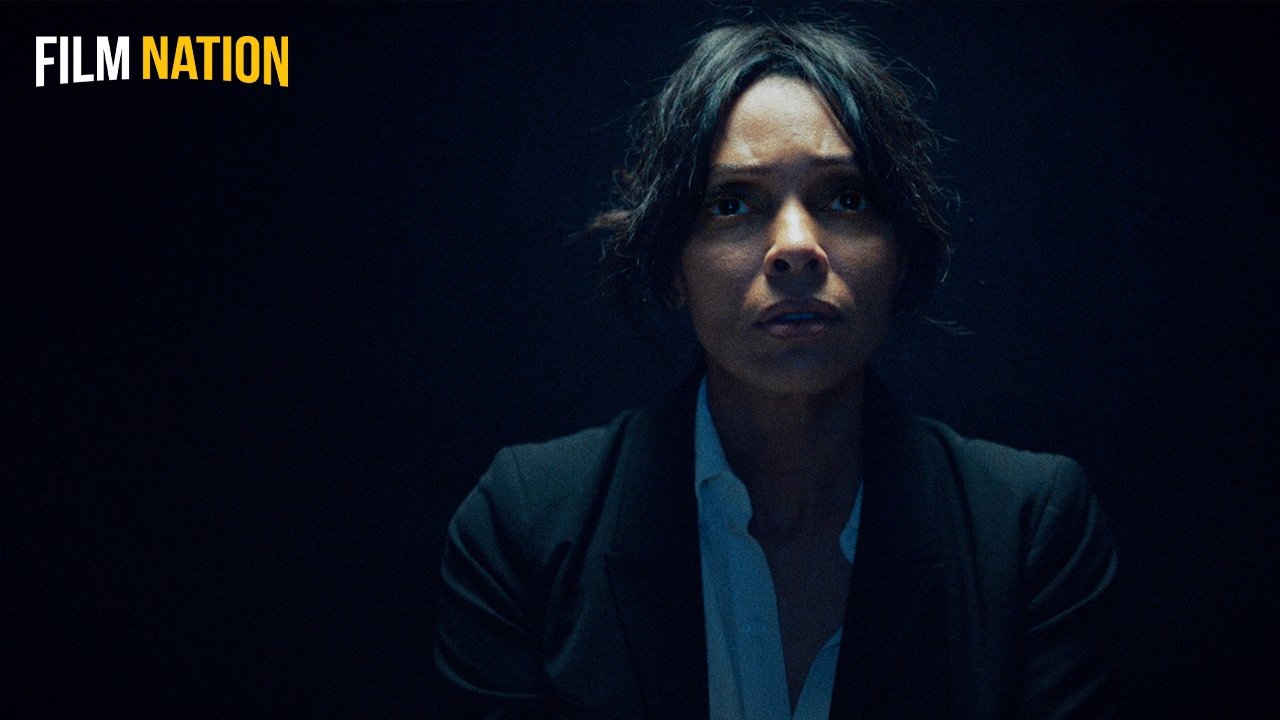 Diary of a Spy Background