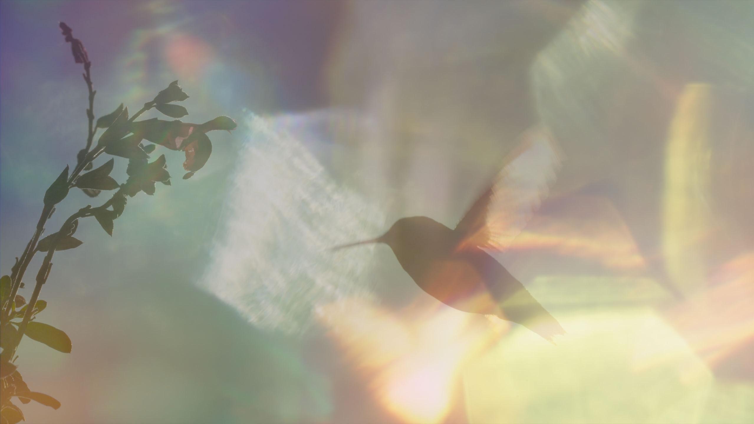 Every Little Thing Background