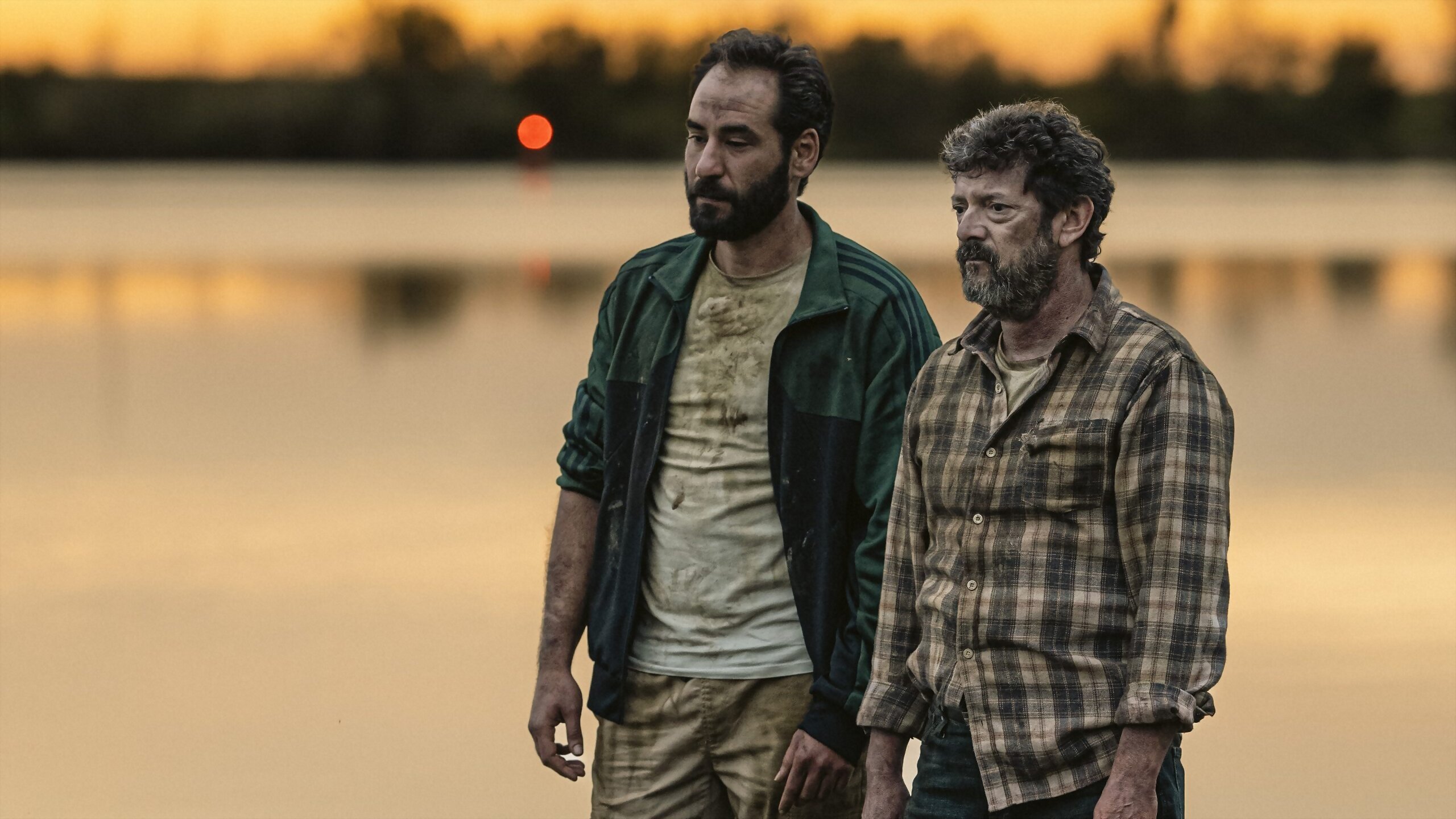 El cielo de los animales Background