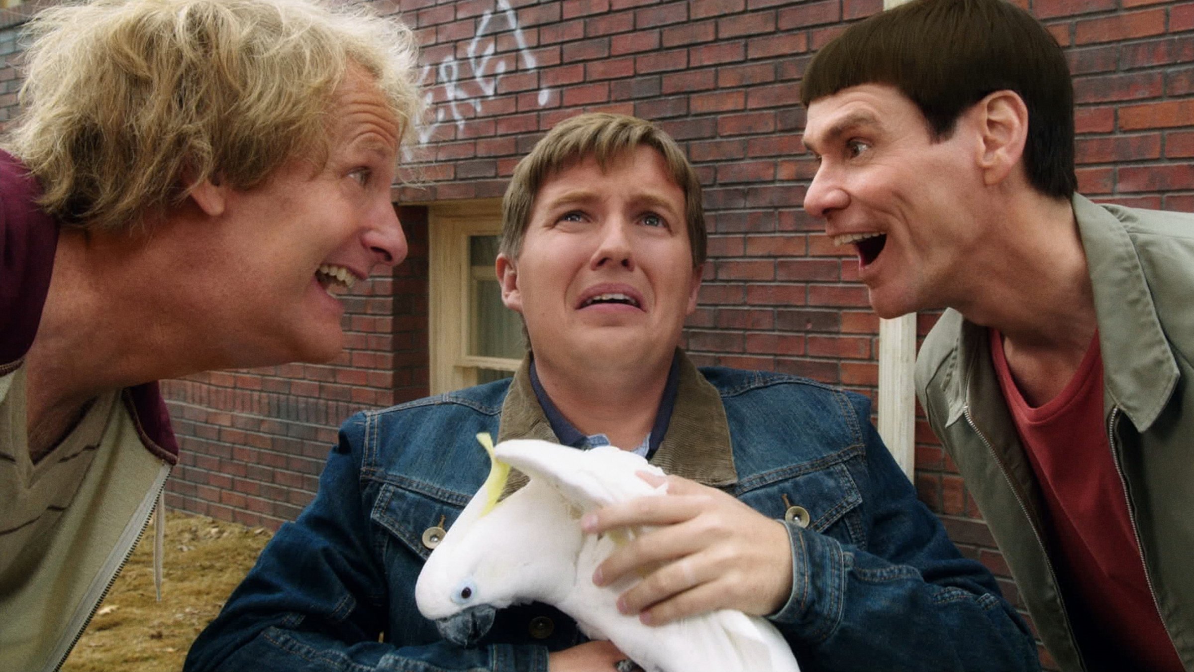 Dumb and Dumber To Background