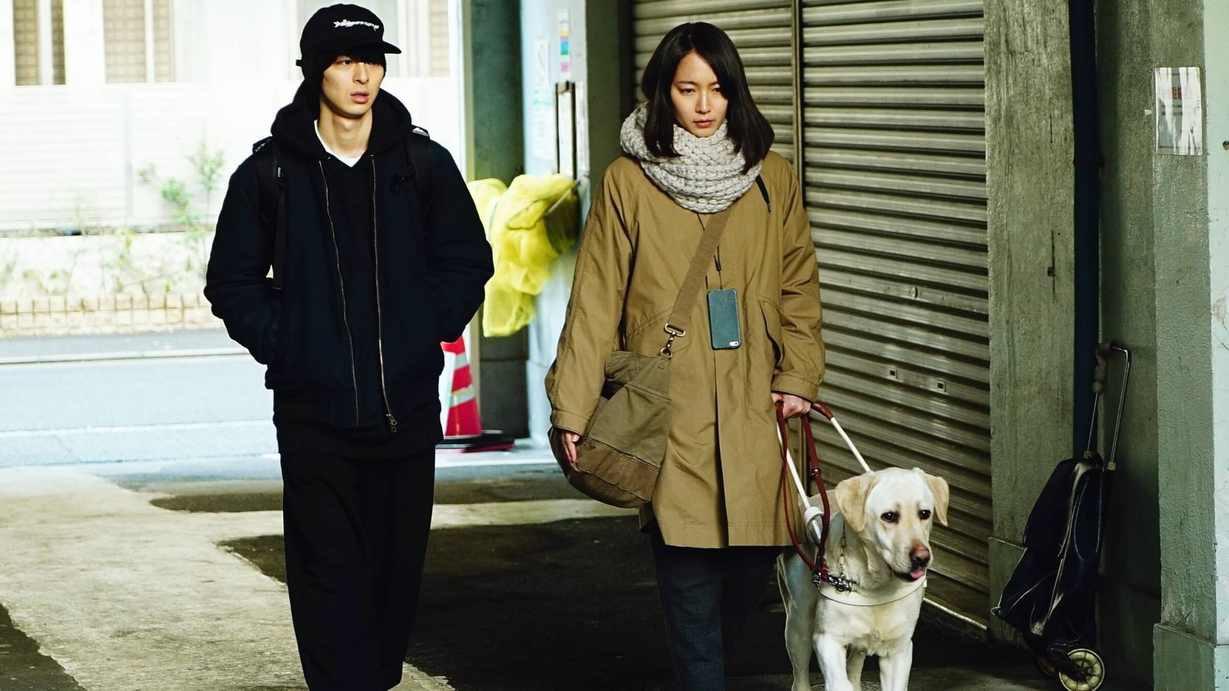 The Witness Background