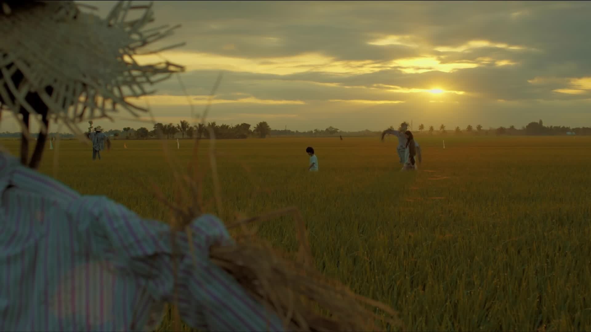 Scarecrow Background