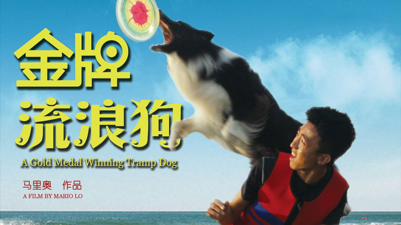 A Gold Medal Winning Tramp Dog Background