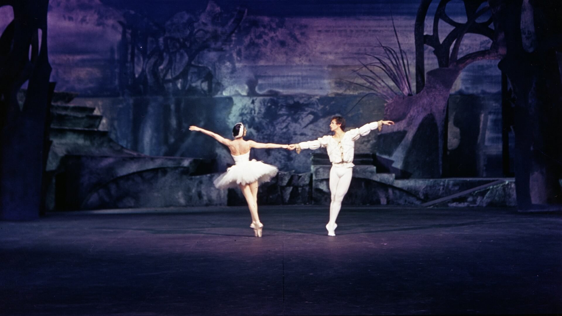 Swan Lake Background