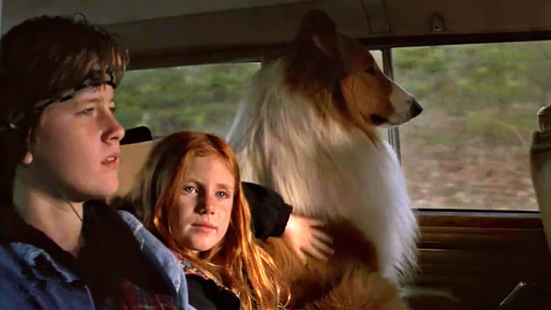 Lassie Background