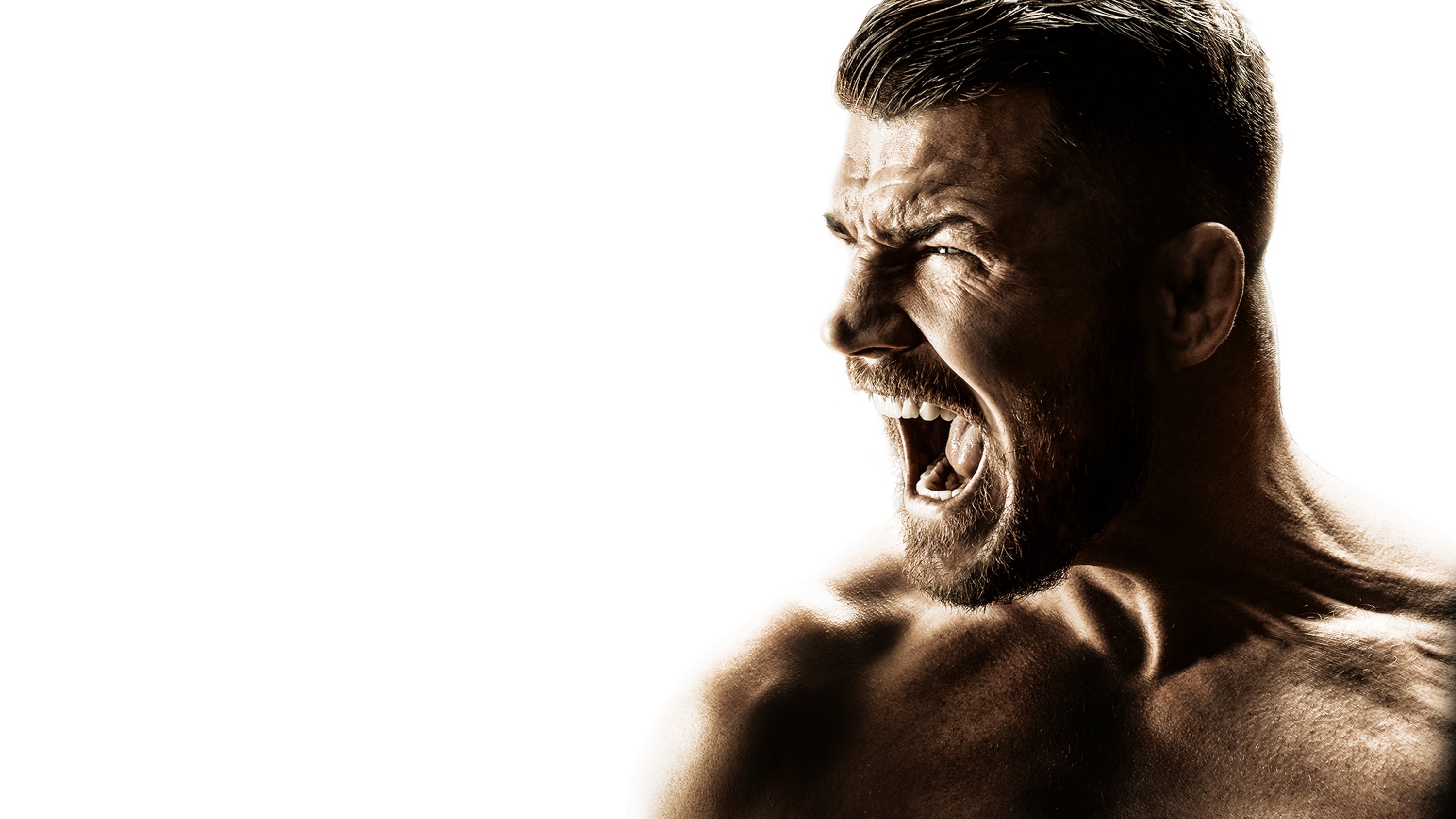 Bisping Background