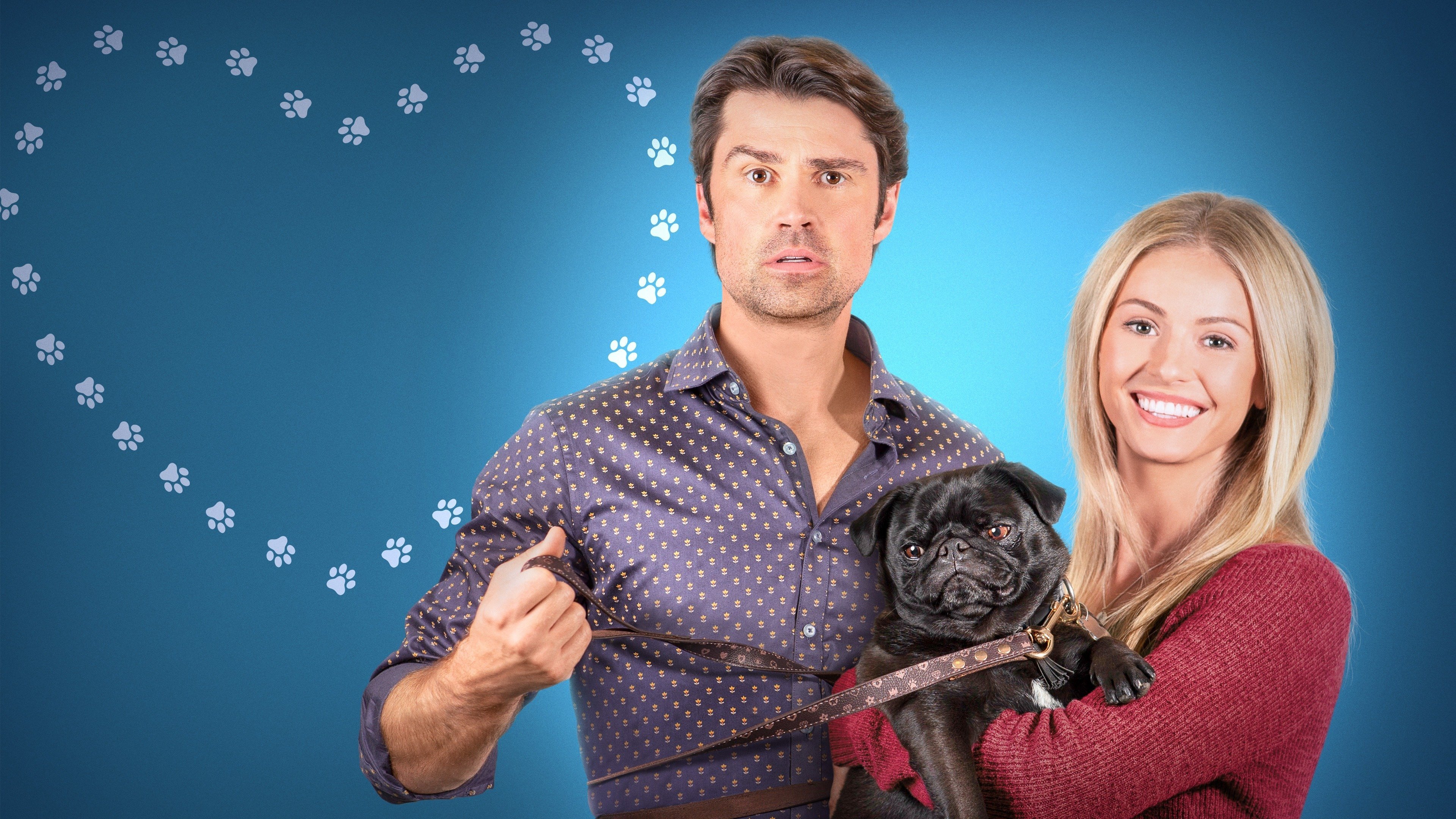 The Dog Lover's Guide to Dating Background