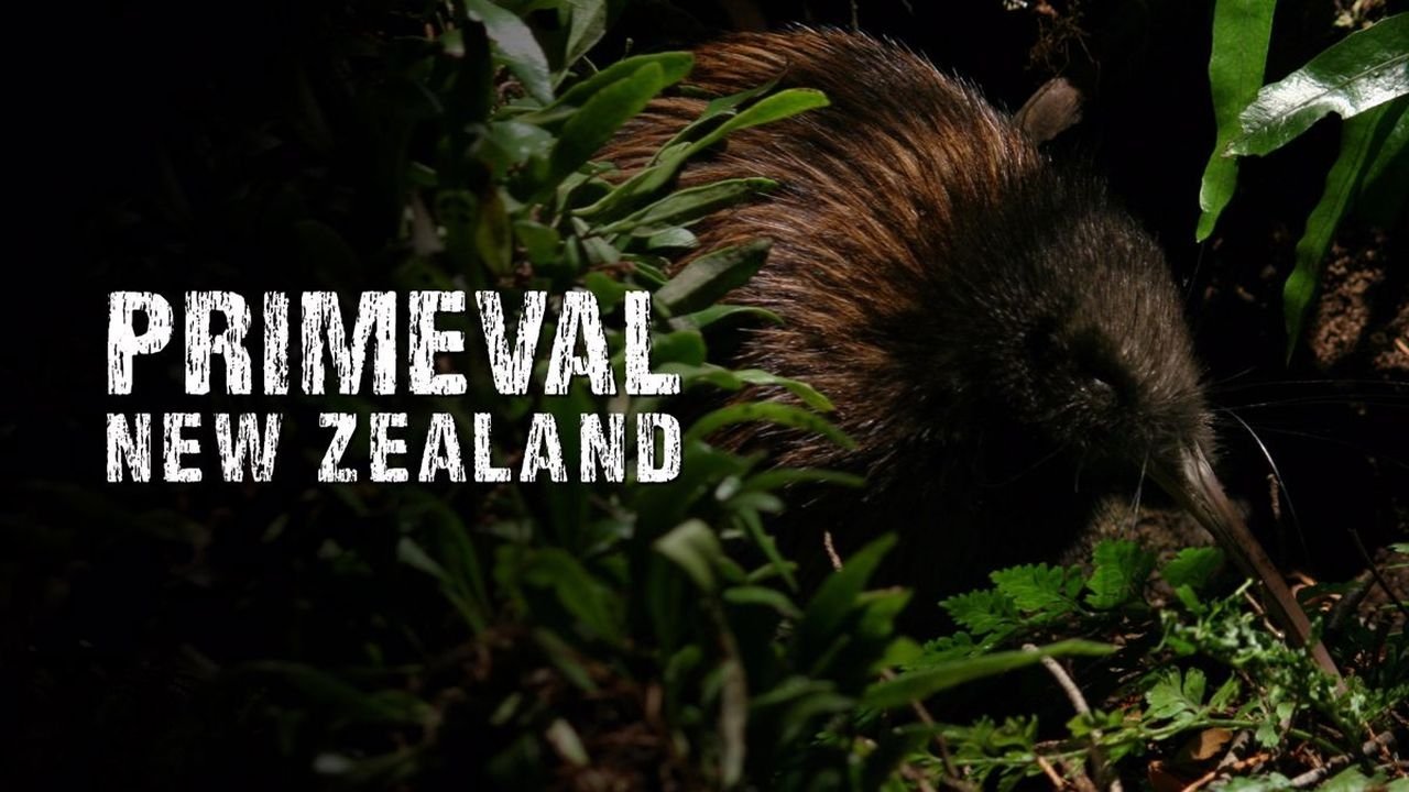 Primeval New Zealand Background