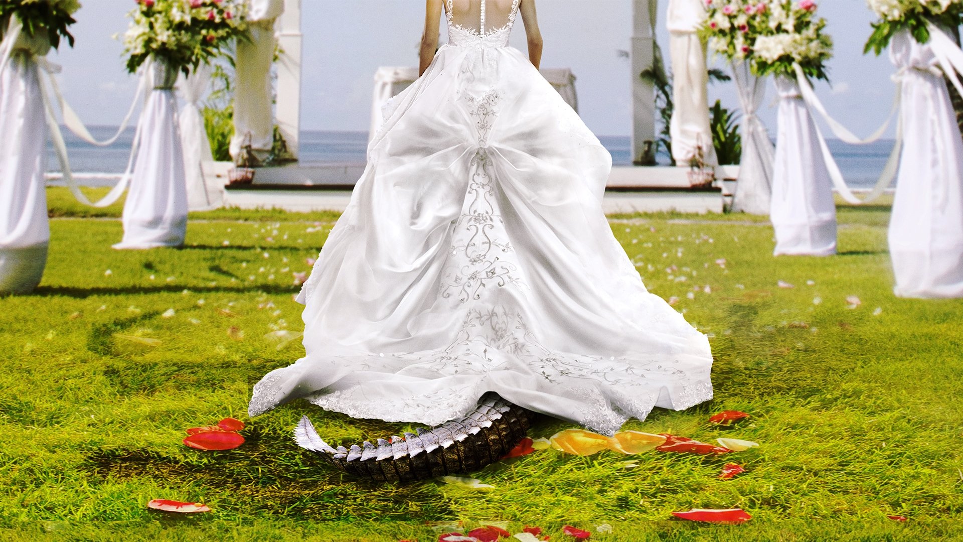 Bridezillas Background