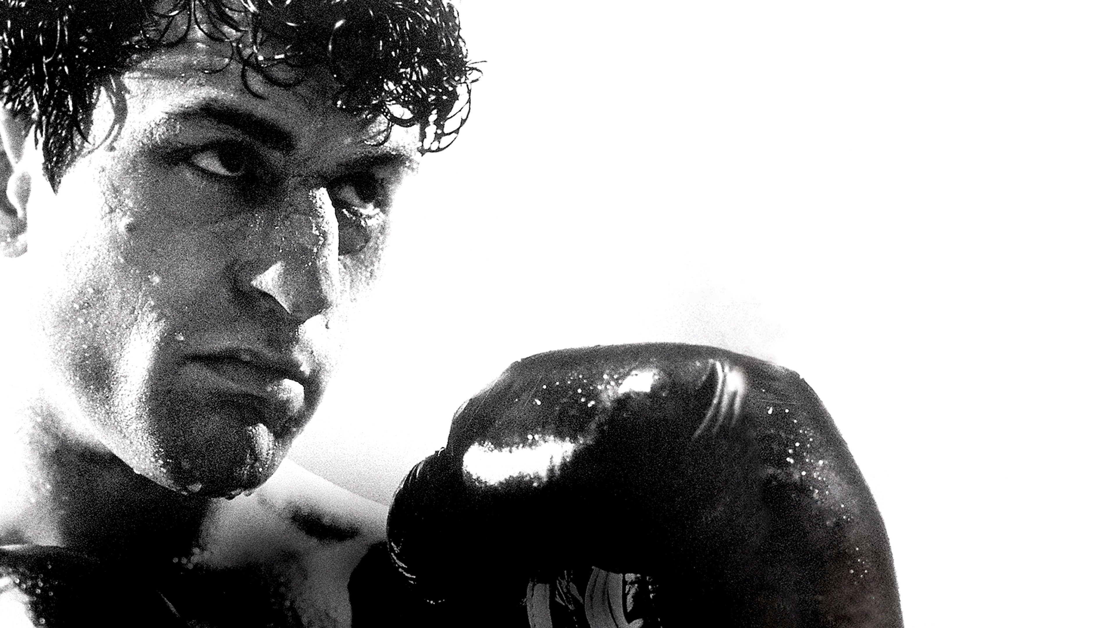 Raging Bull Background