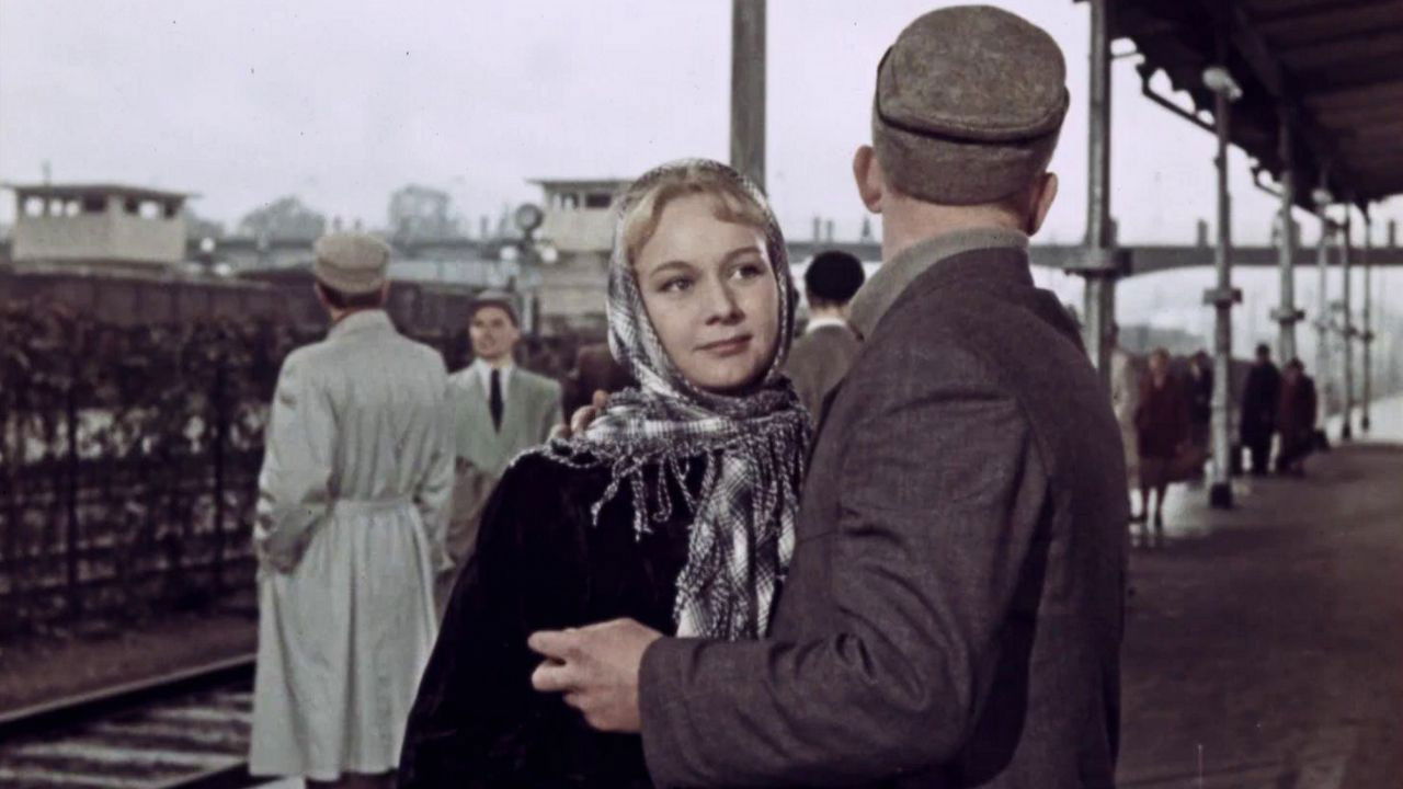 Red Leaves Background