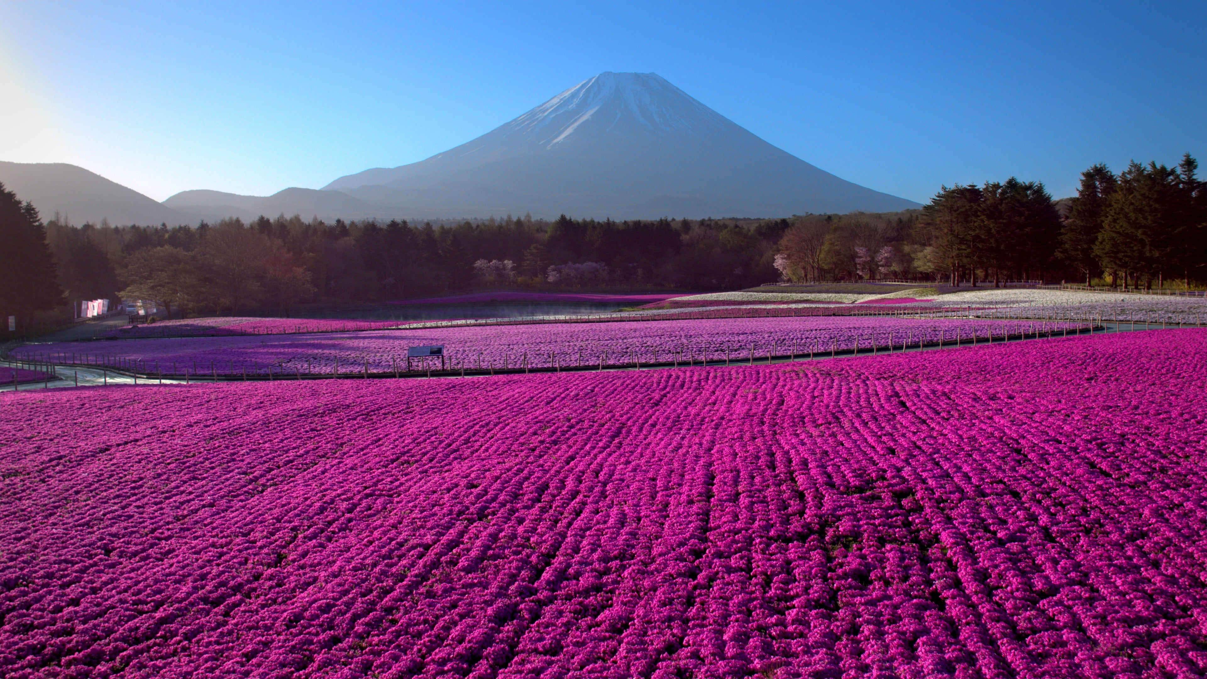 Japan from Above Background