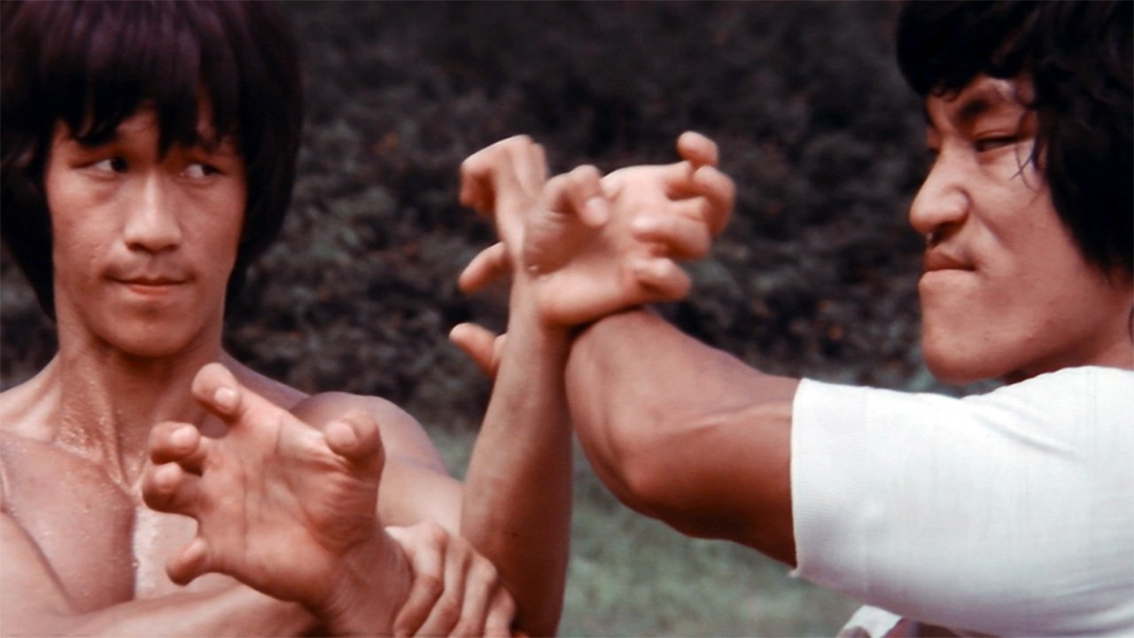 The Clones of Bruce Lee Background