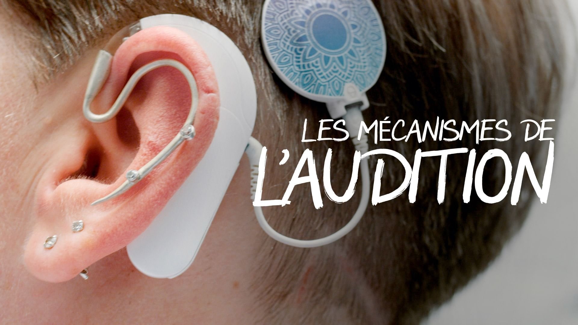 Les mécanismes de l’audition - Une ouïe très fine Background