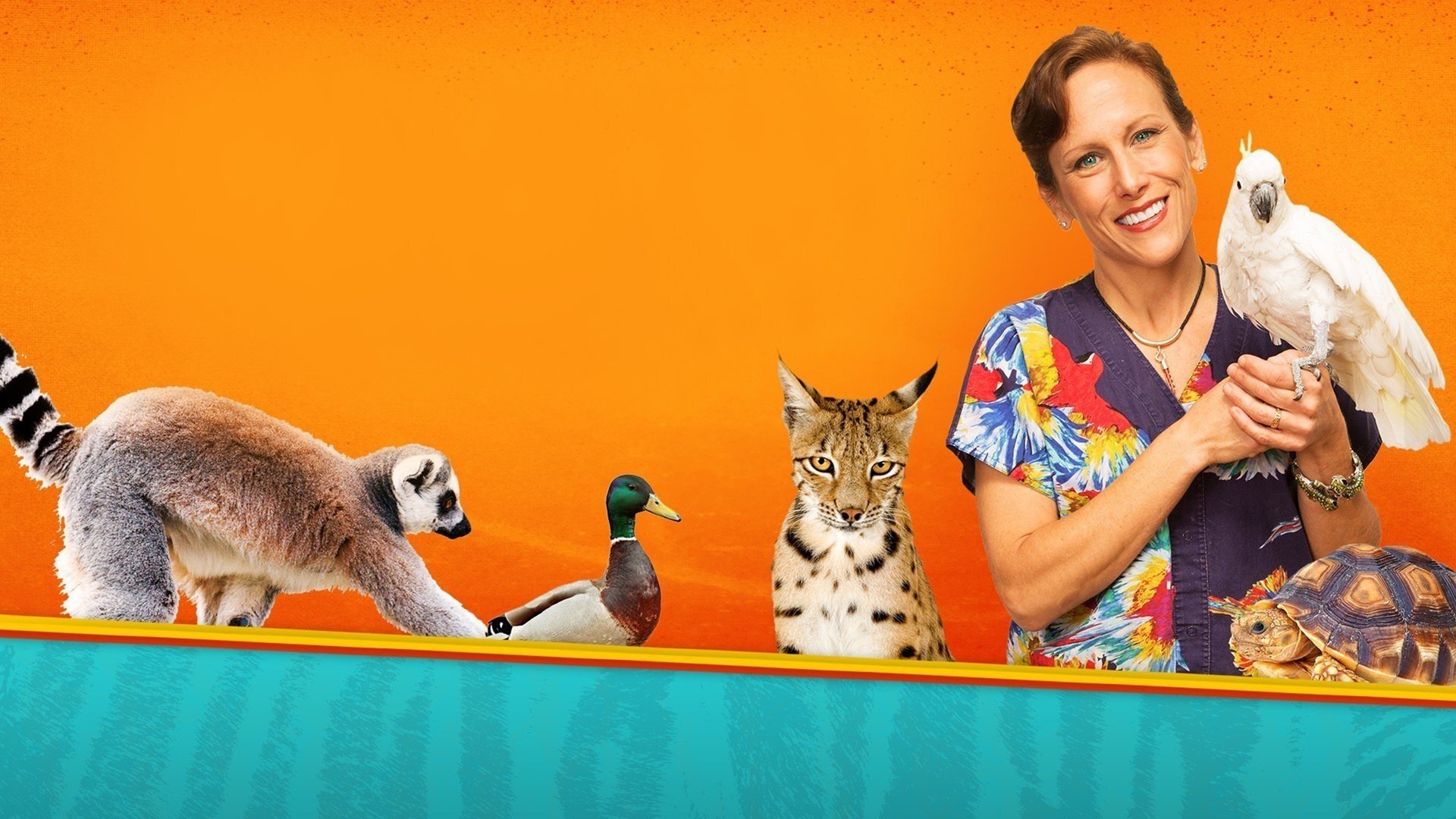 Dr. K's Exotic Animal ER Background