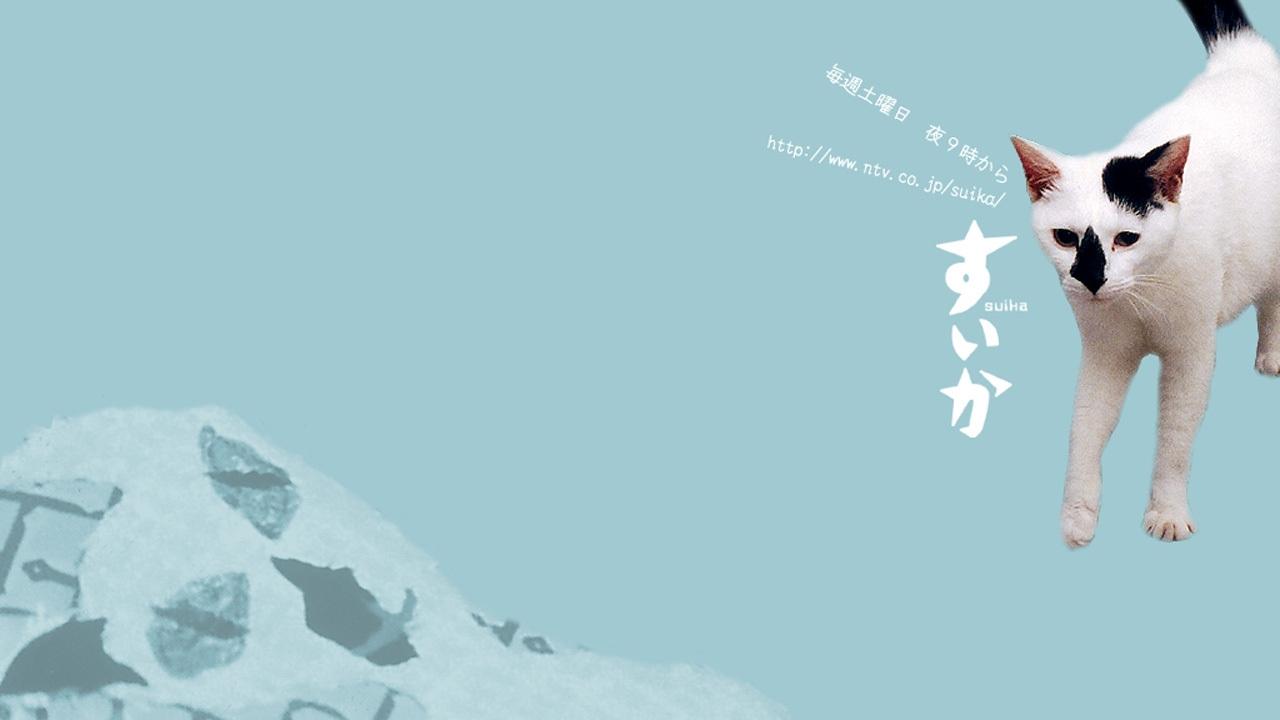Suika Background