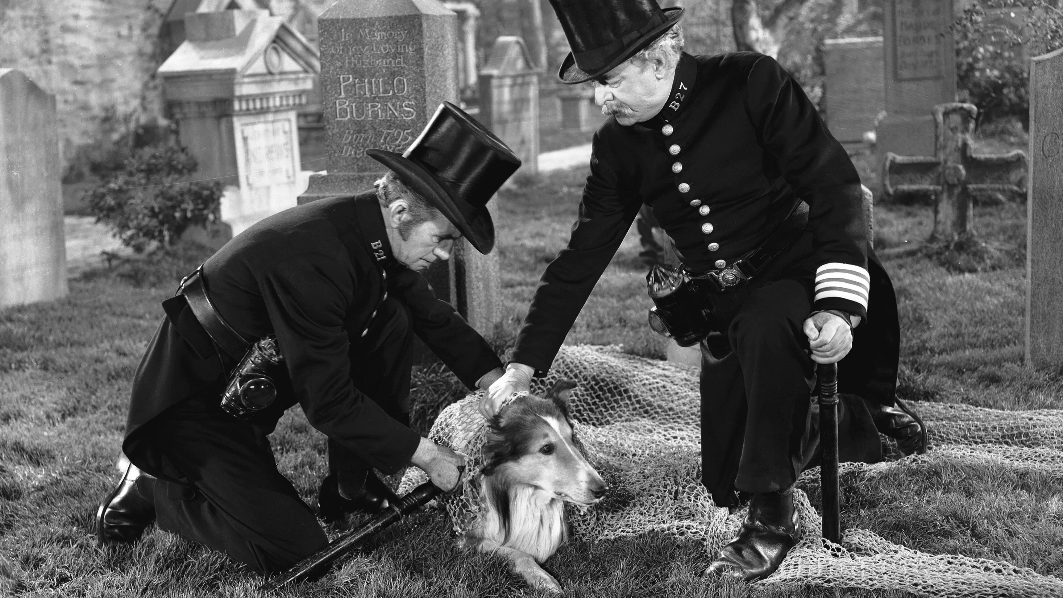 Challenge to Lassie Background