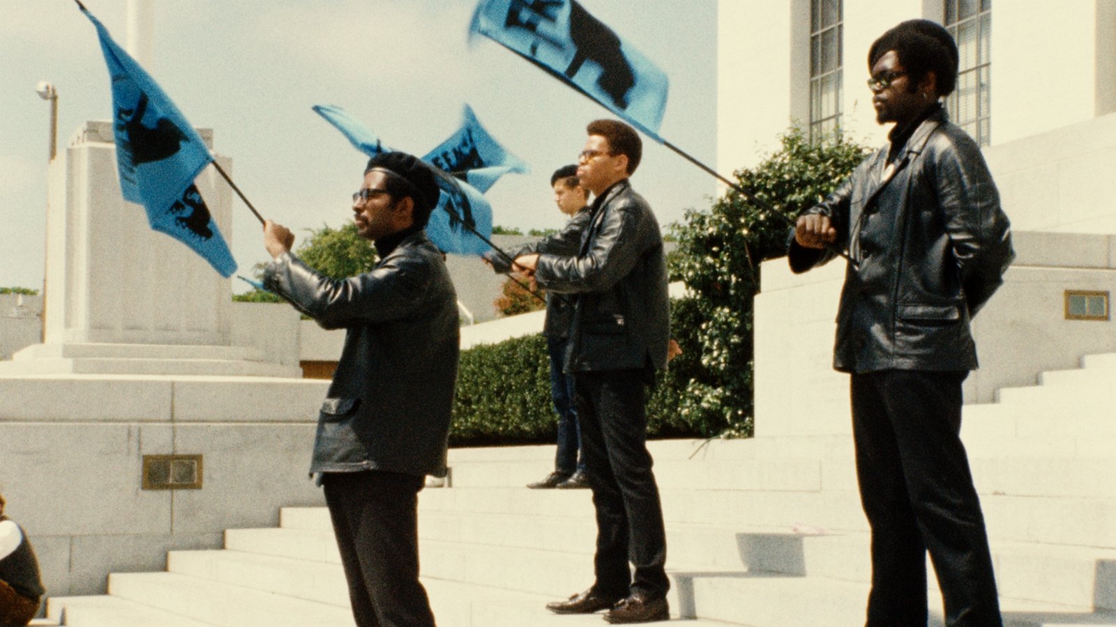 Black Panthers Background