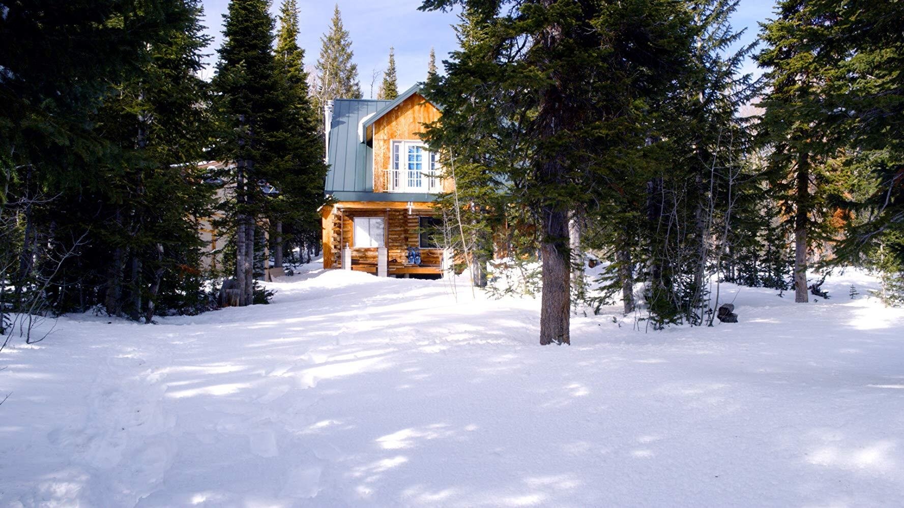 The Christmas Cabin Background