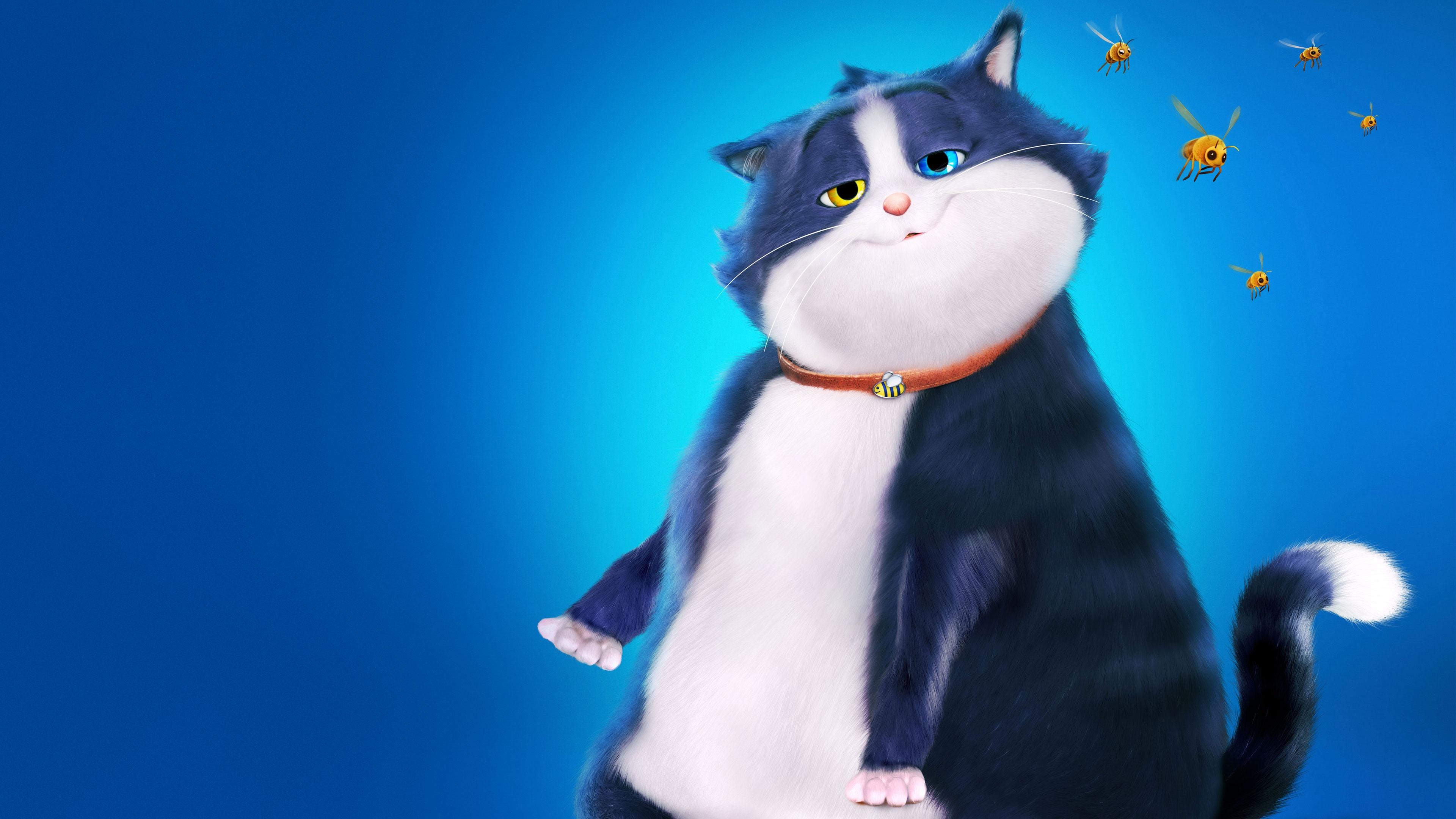 10 Lives Background