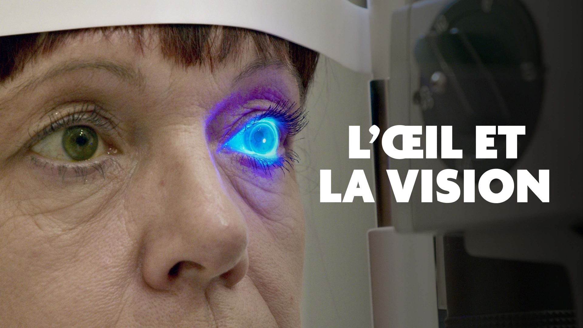 Das Auge - Forschung sehen Background